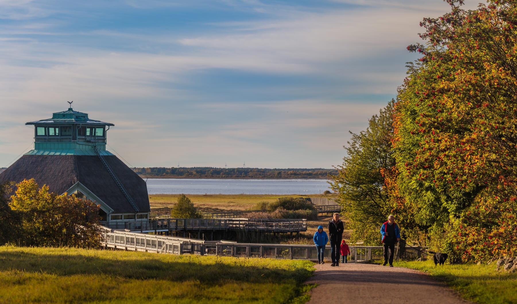 Höstfärgade löv i träden och en underbar utsikt över Hornborgasjön. 