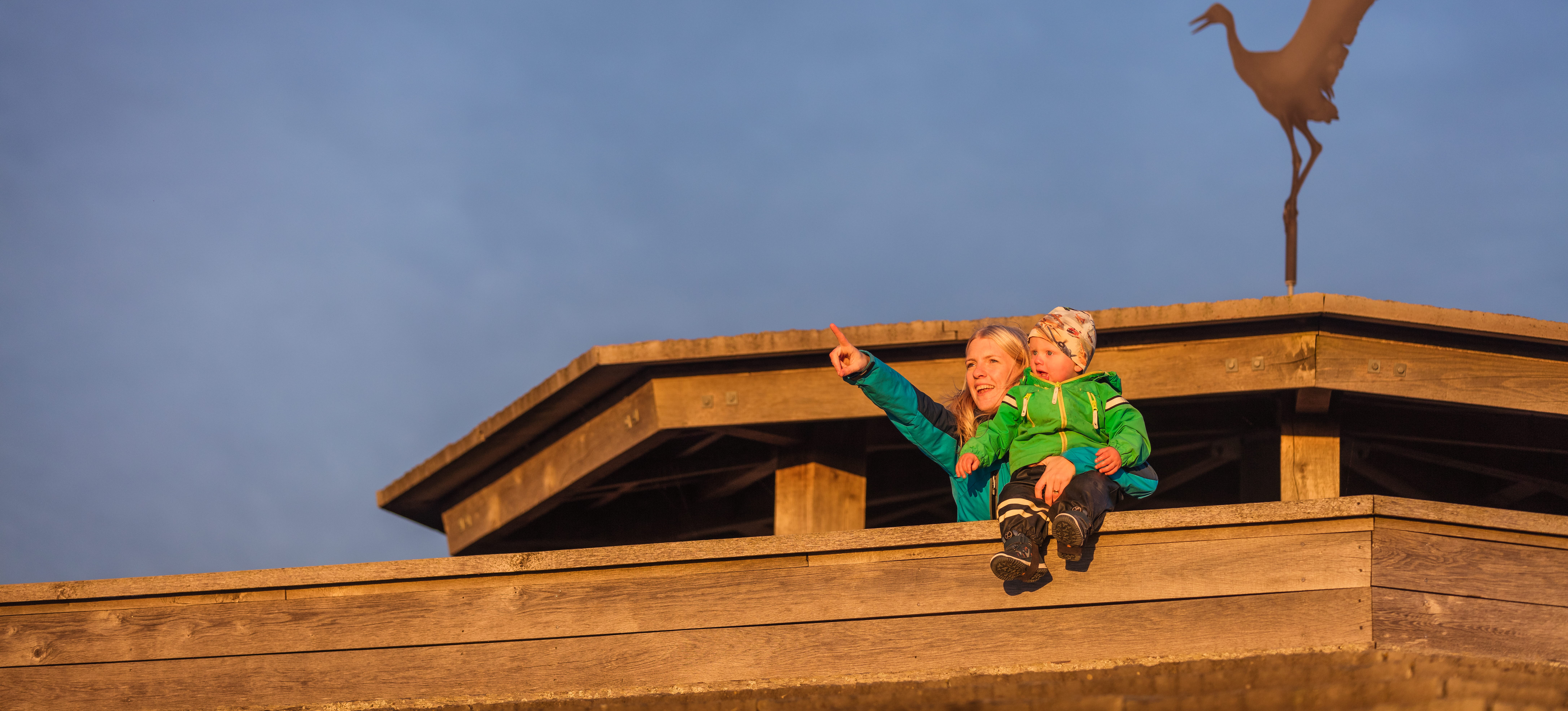 Fågeltorn vid naturum Hornborgasjön 