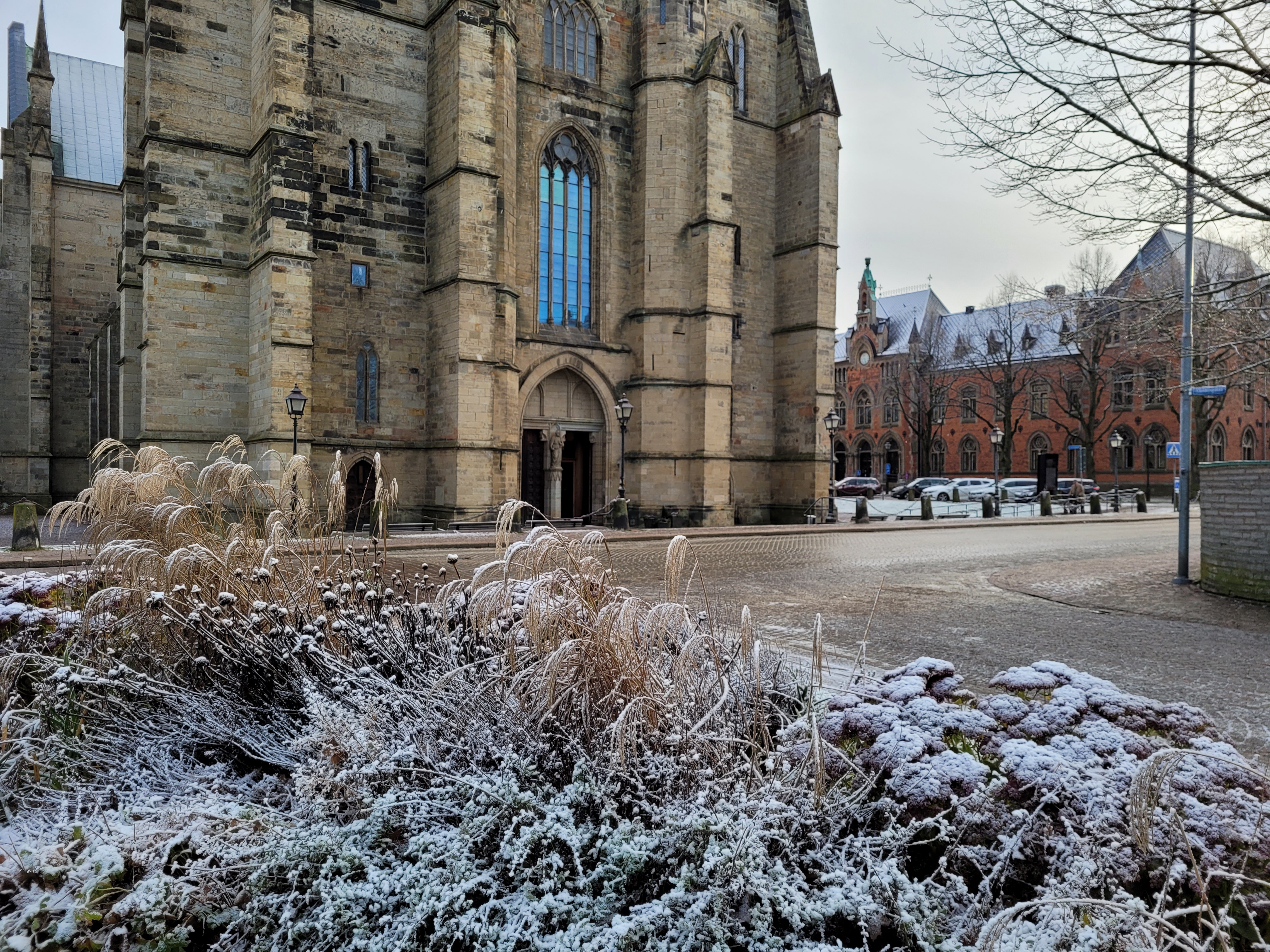 Skara domkyrka i vinterskrud.