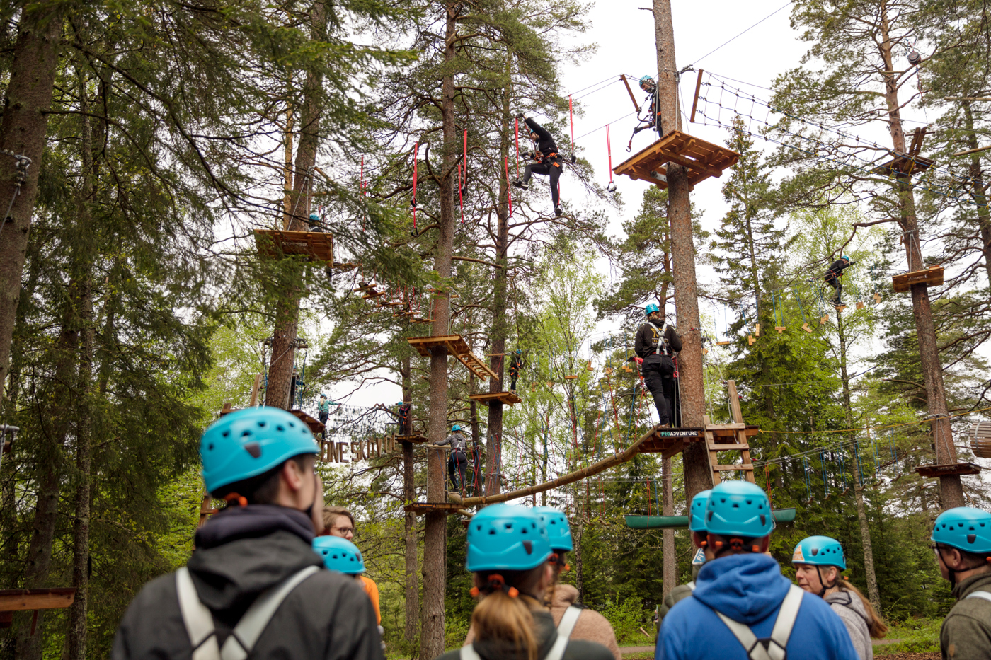 A group of blue helmets and climbing equipment look up at the high-altitude course among the treetops.