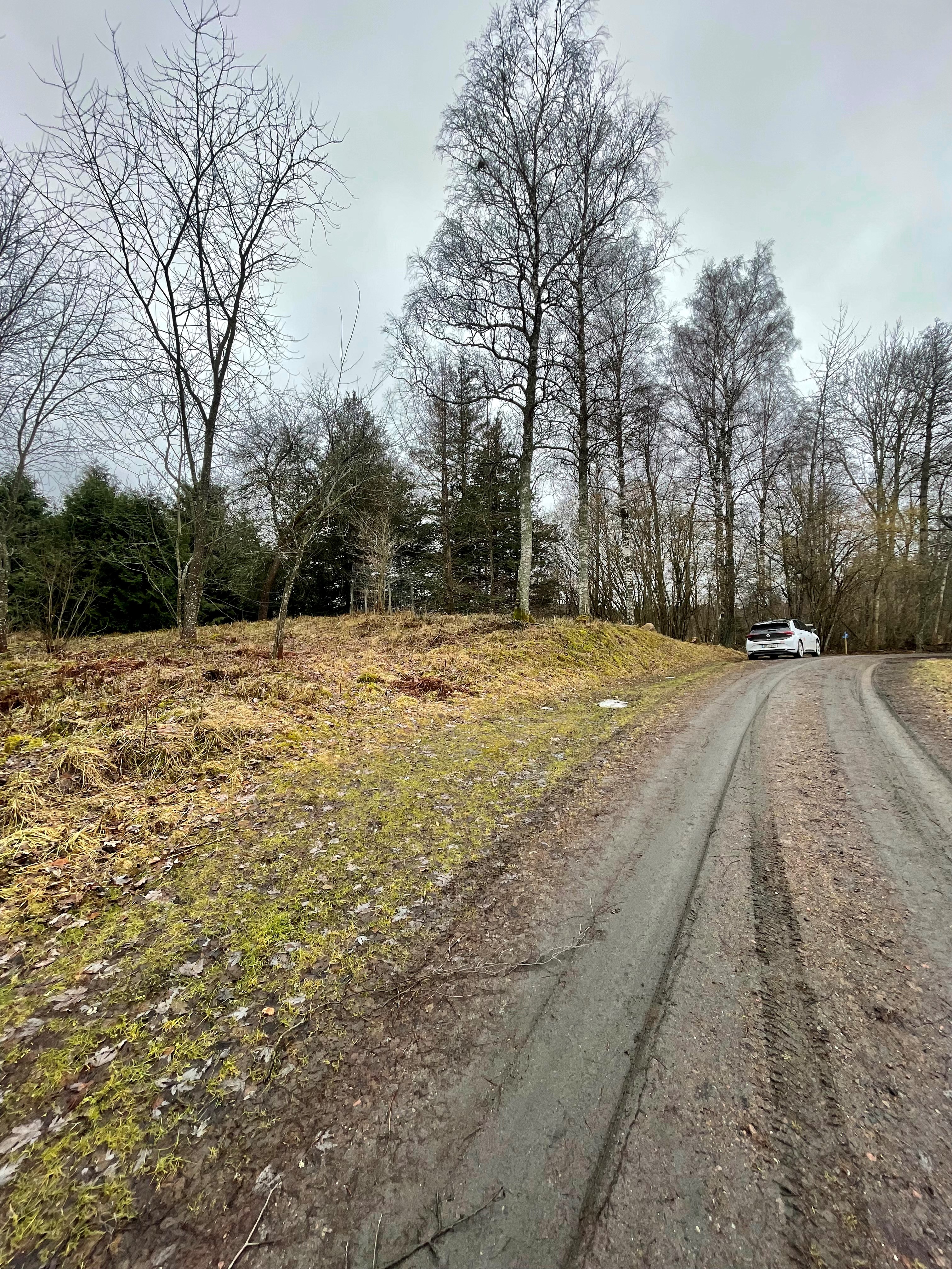 Skogsväg med bilparkering