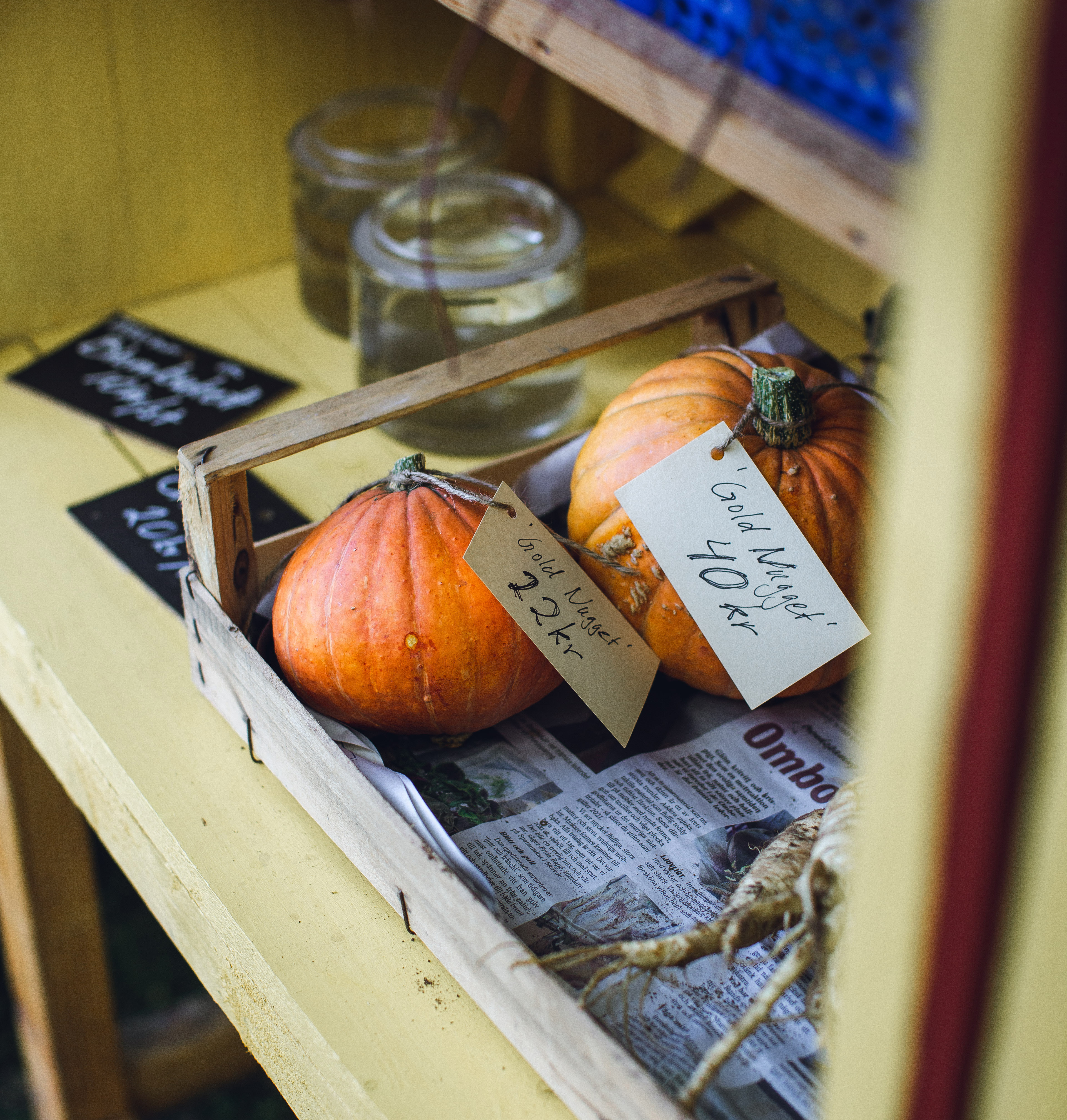 Two orange pumpkins in a wooden box with newspaper.