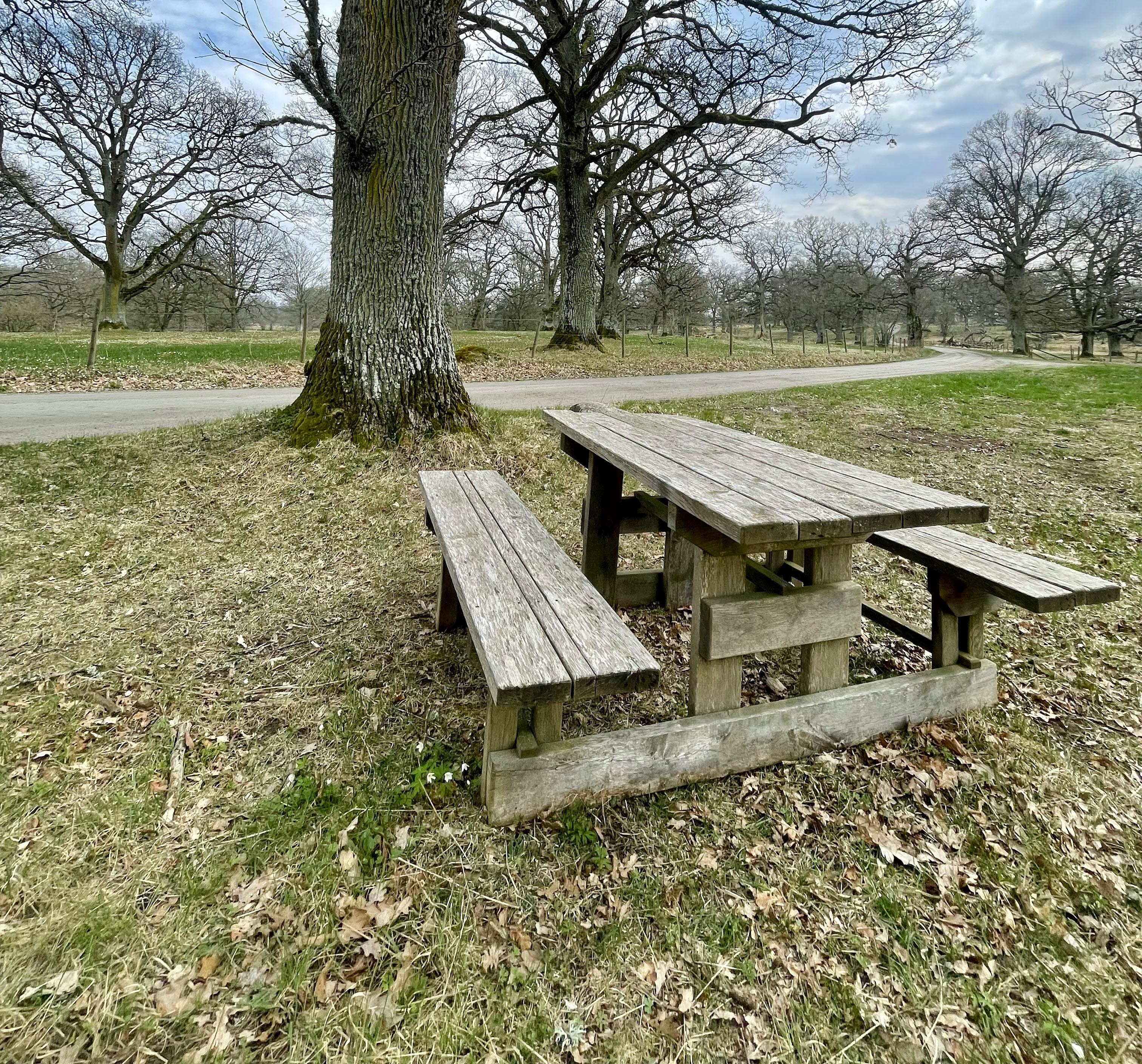 Picknickbordet brevid brunsbo ängar naturreservat 