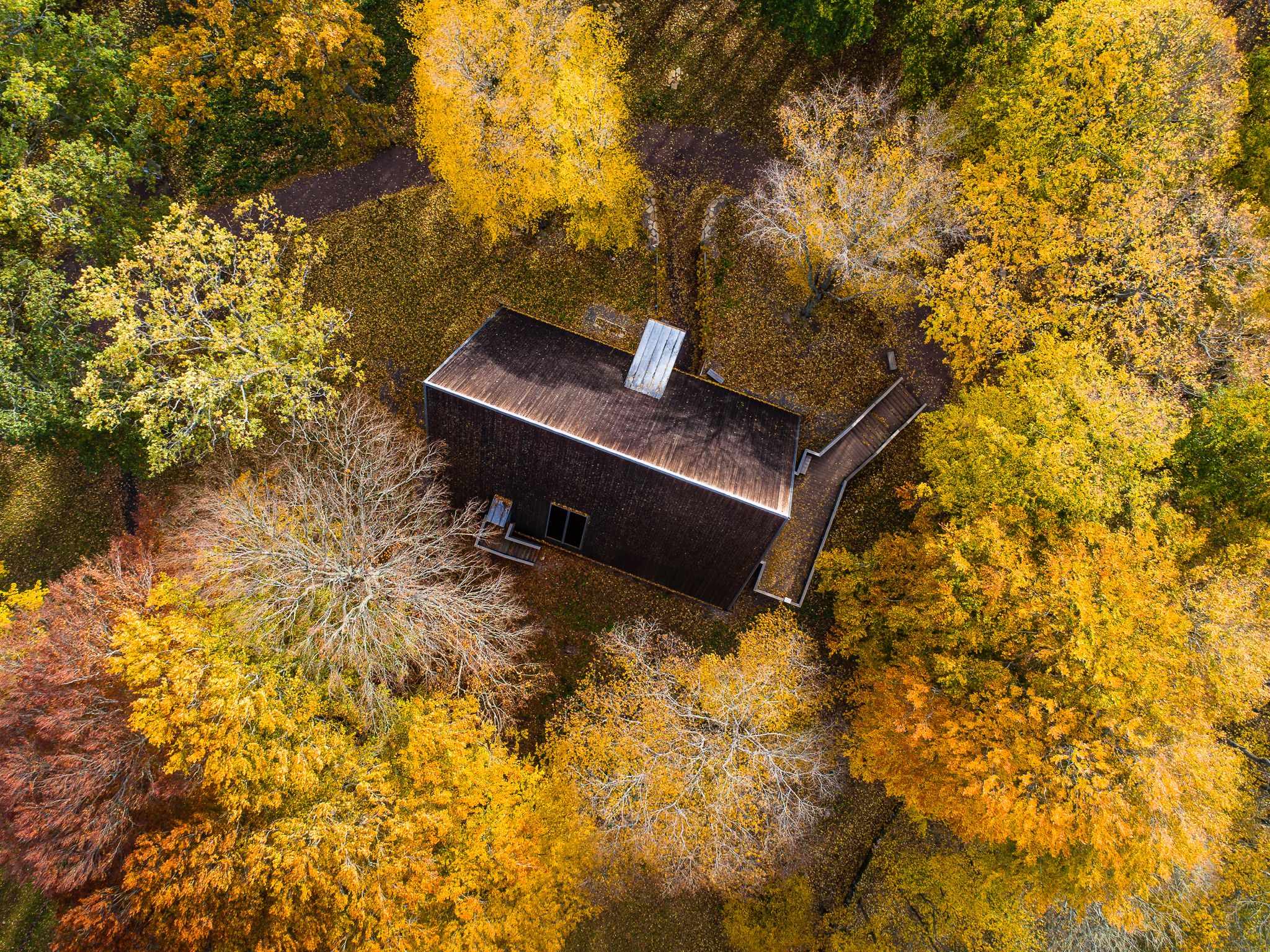 Drope picture of a pointy wooden building taken straight from above. Autumn yellow trees surround the building.