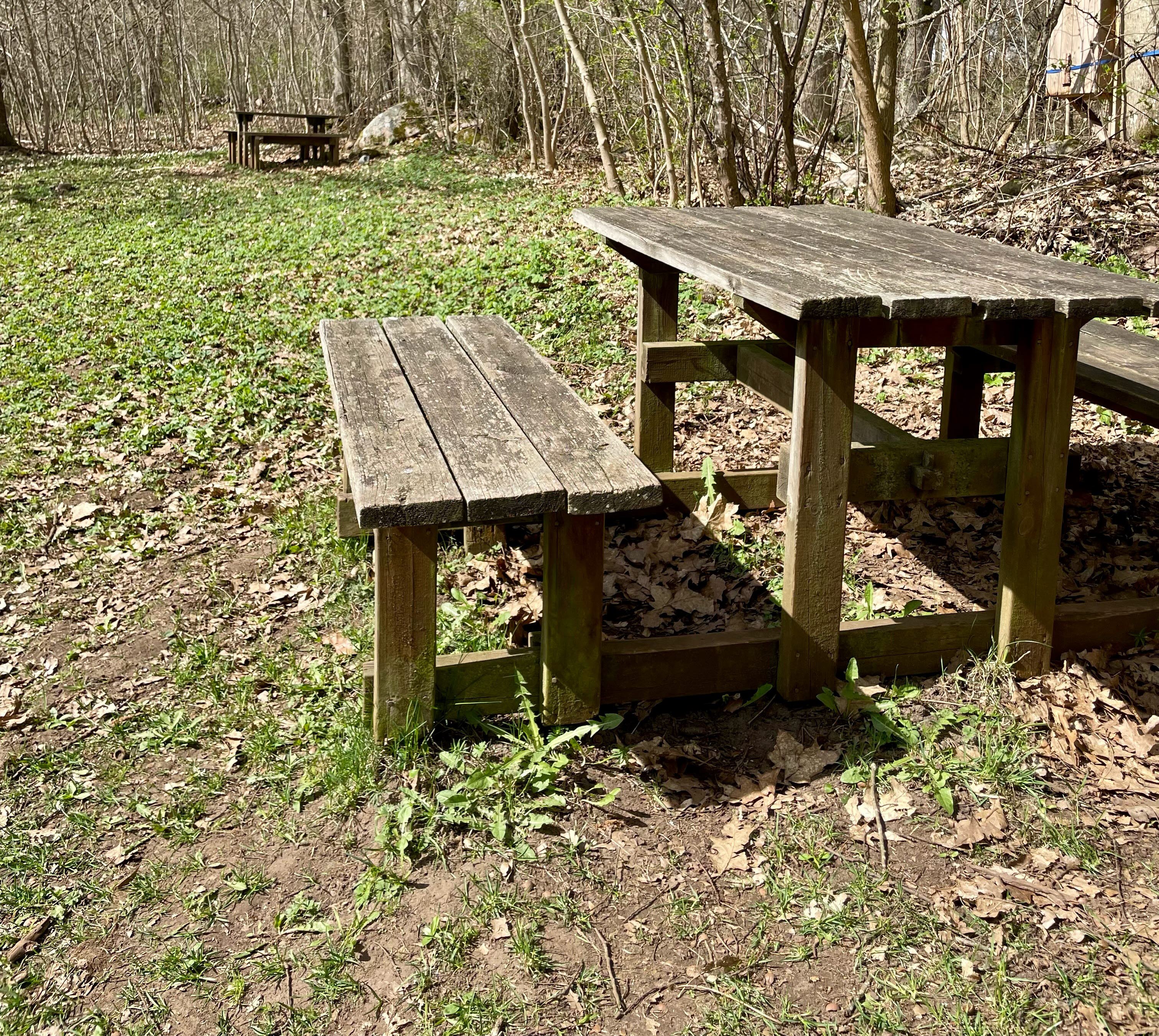 picknickbord i skog