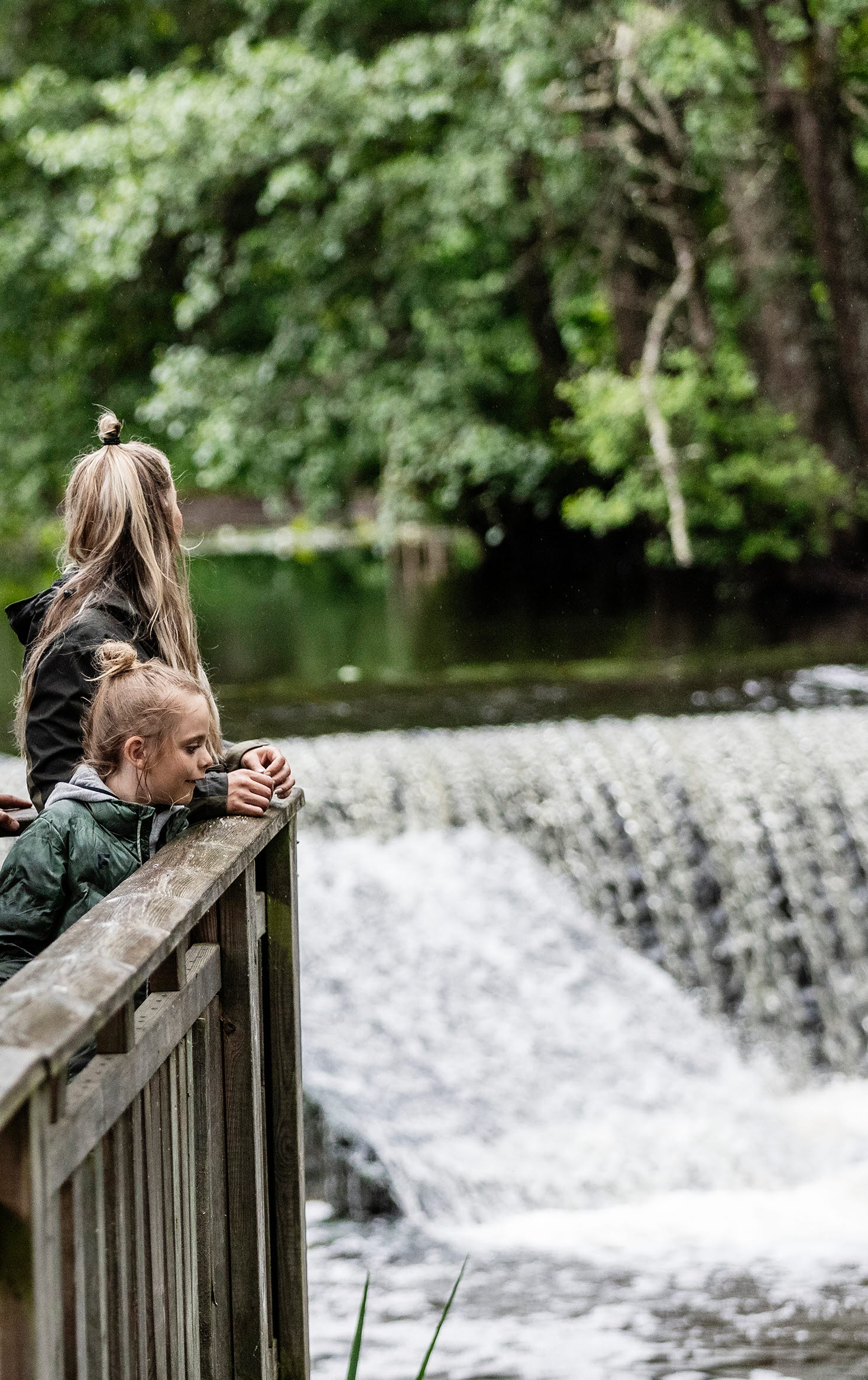 Kvinna, man och två barn som står på en terrass och kikar på ett litet vattenfall.