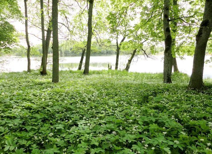 4 - Vandringsled Höjentorp