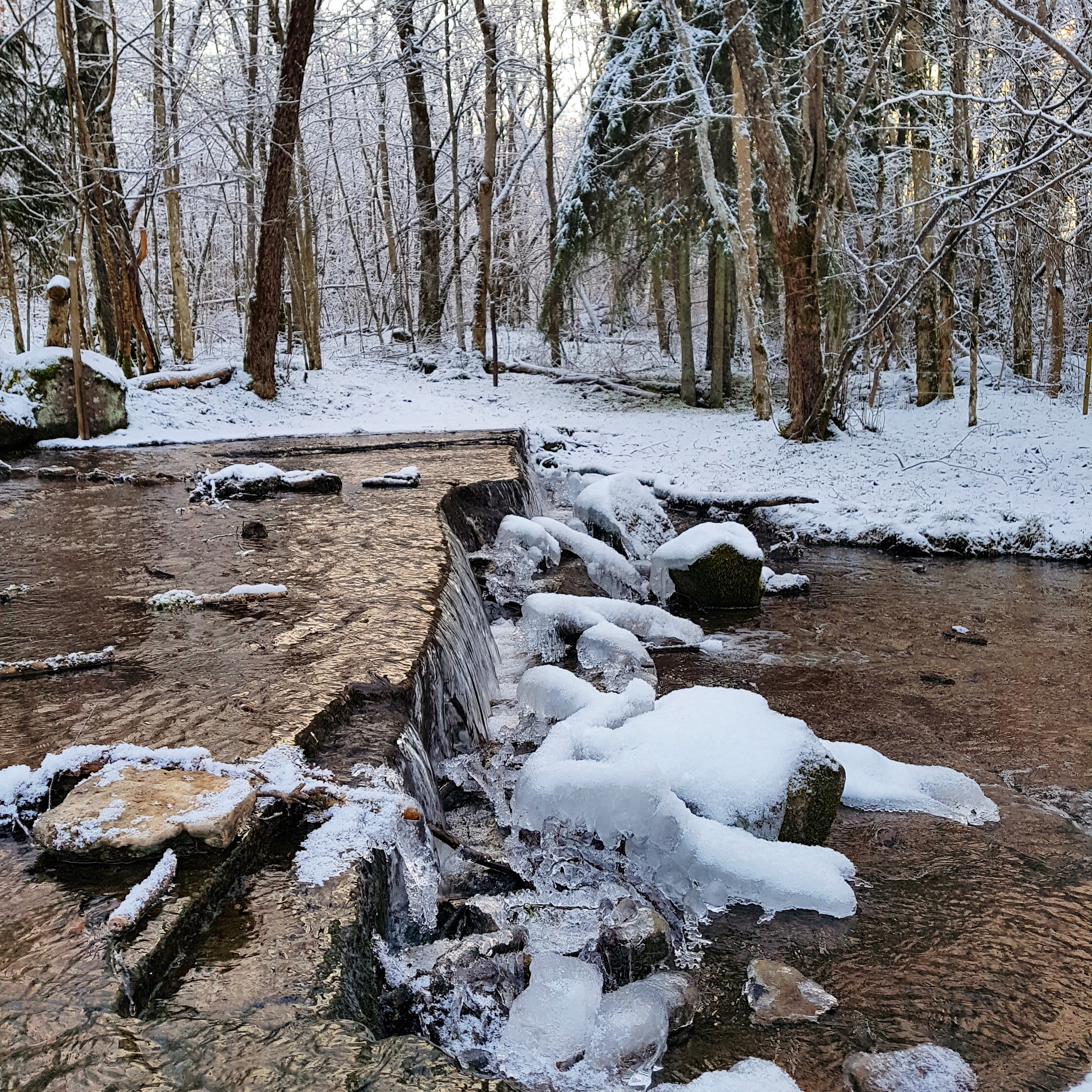 Ett litet vattenfall i en skog. Det är snö på marken och på stenarna i bäcken.