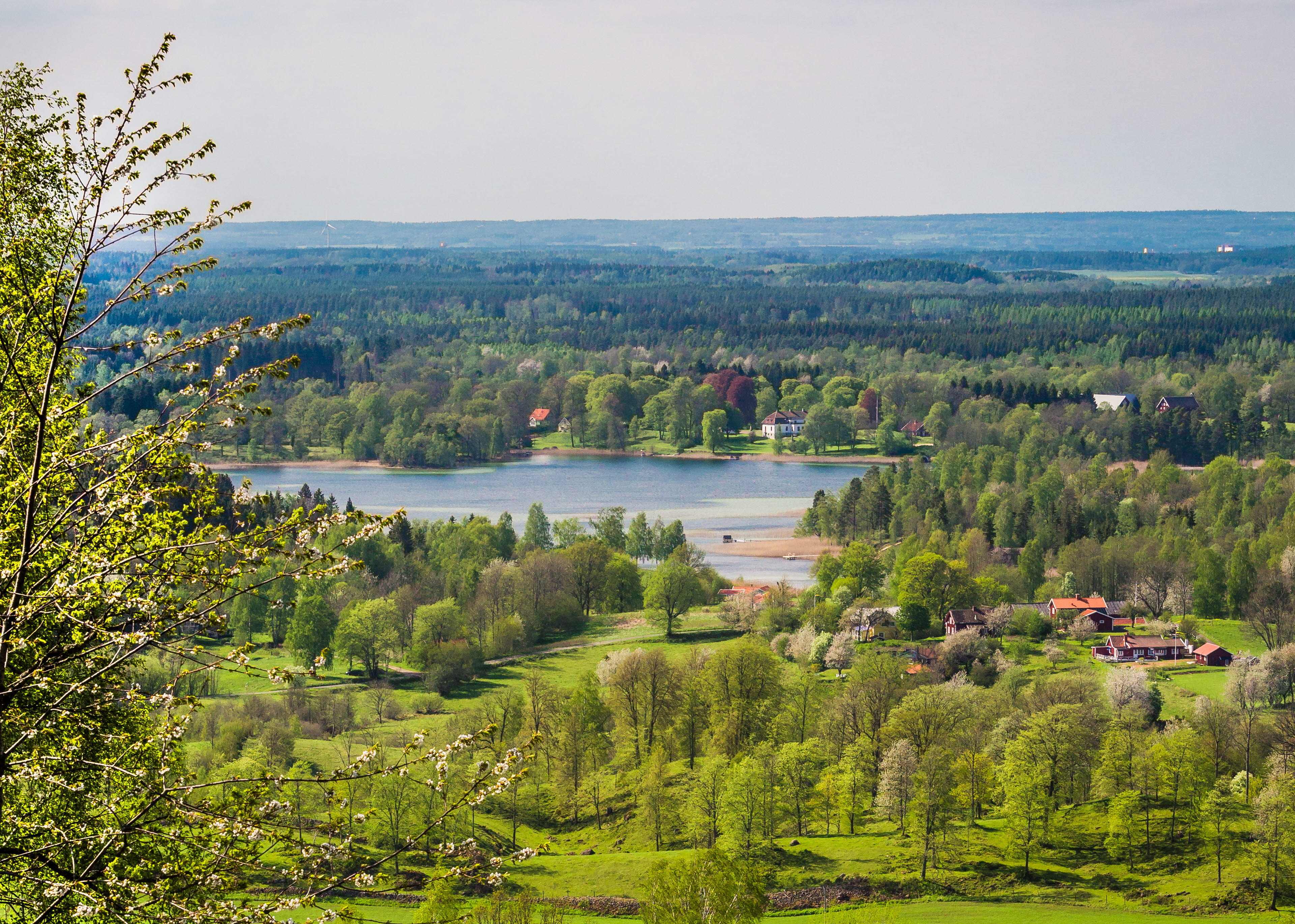 View over Valle with green meadows, cherry trees, lakes and far away and a free horizon.