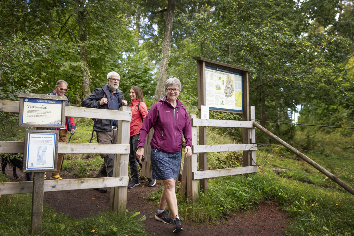 En kvinna går genom en grind i ett naturområde. bakom henne kommer fler personer som är ute och vandrar. Det är grönt på marken och träden är utslagna.