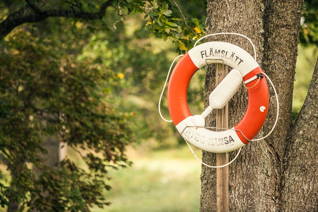 En röd/vit livboj som det står Flämsjön på. Sitter uppsatt på ett träd.