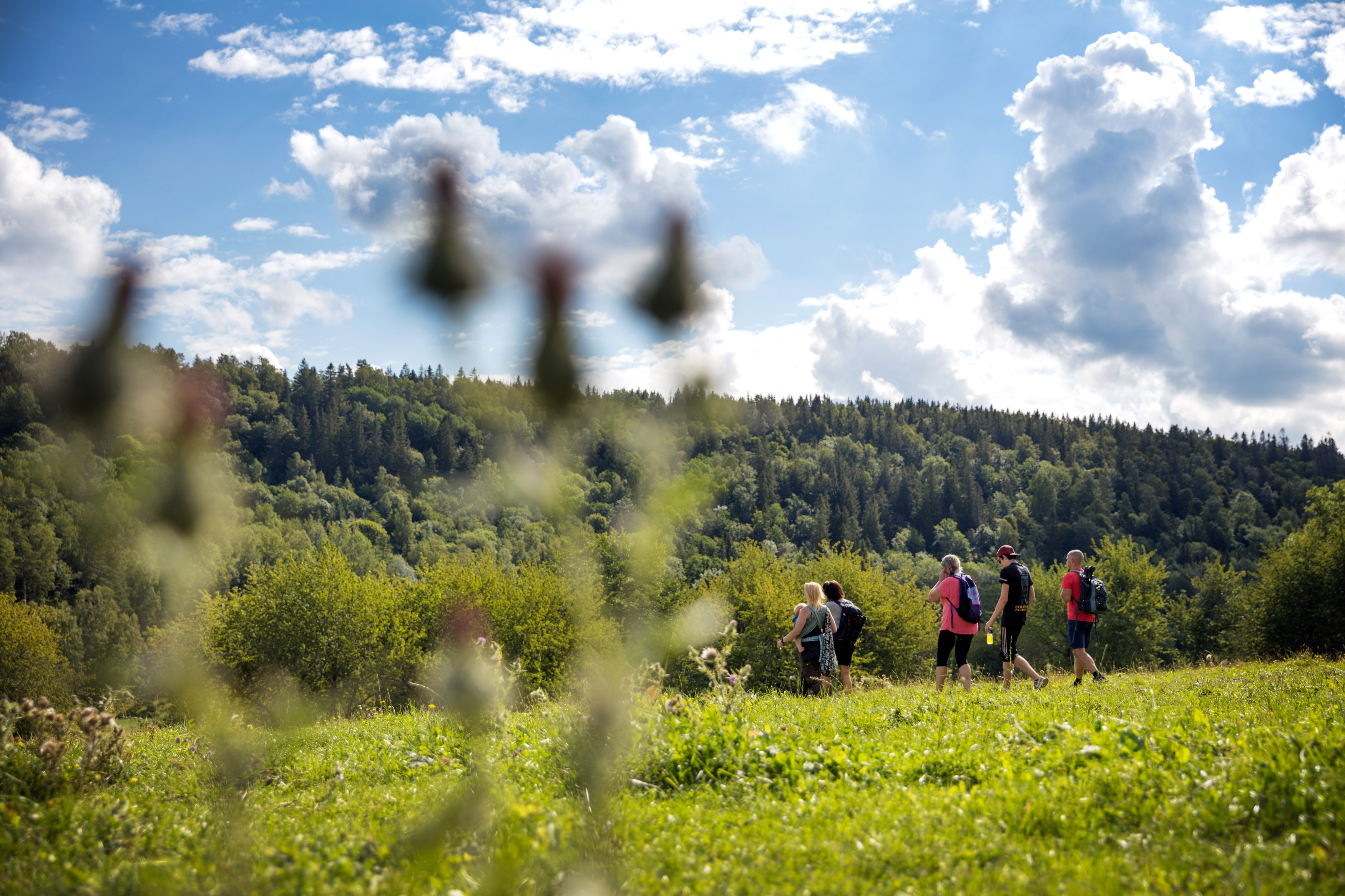 fem vandrare i vackert landskap med berg och gröna ängar.