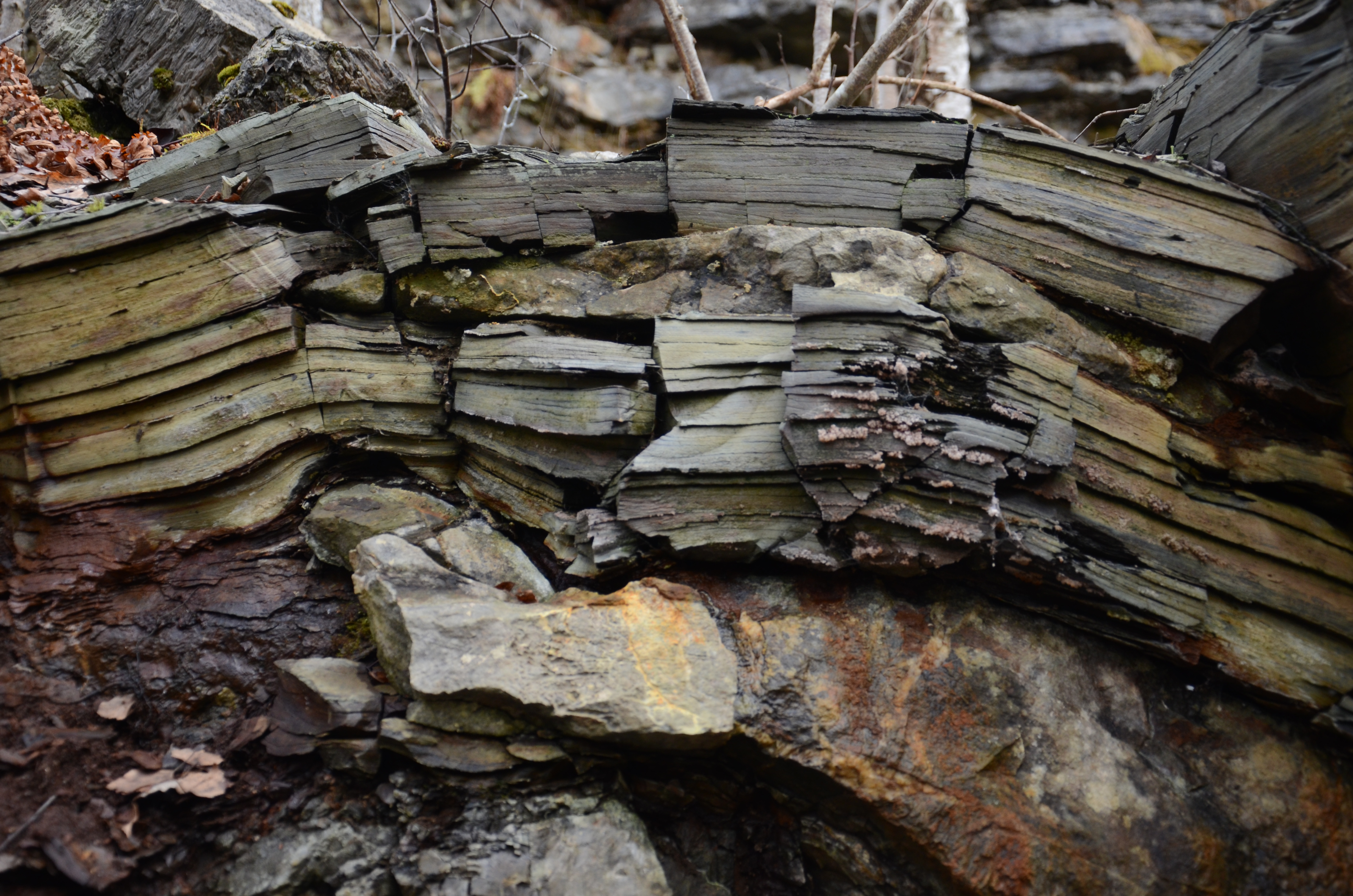 Upptäck våra platåberg