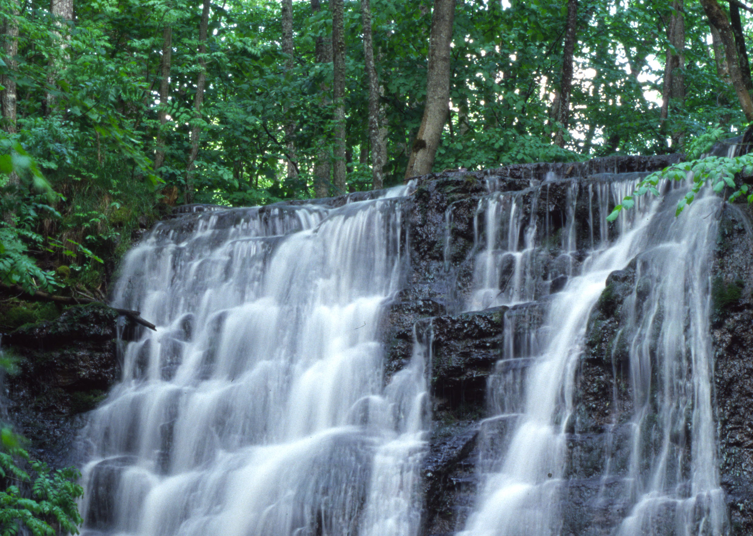 Ett vattenfall omgärdat av gröna träd.