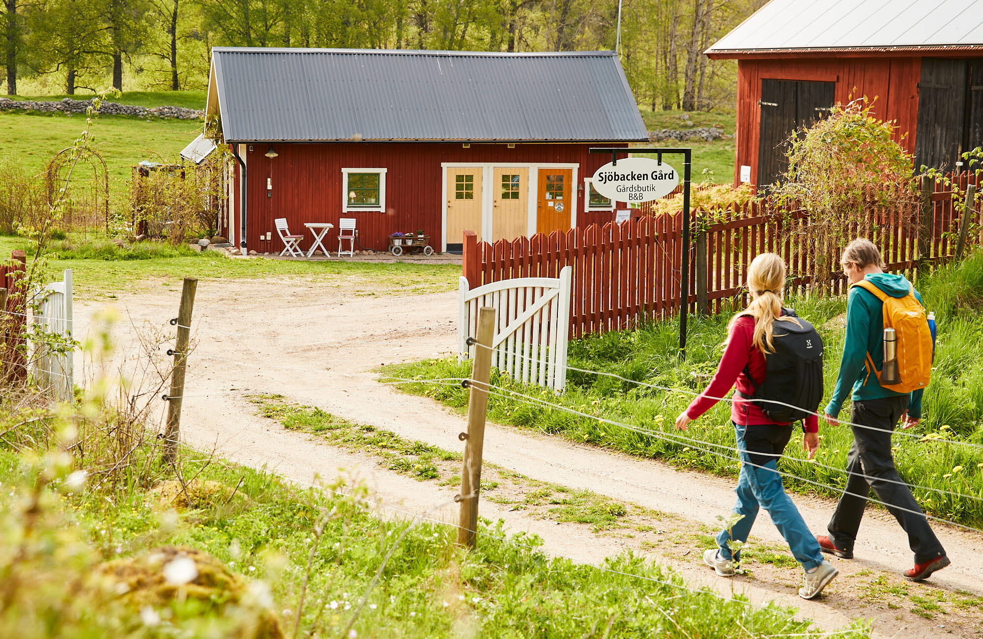 Två vandrare promenerar på en grusväg mot en faluröd stuga.