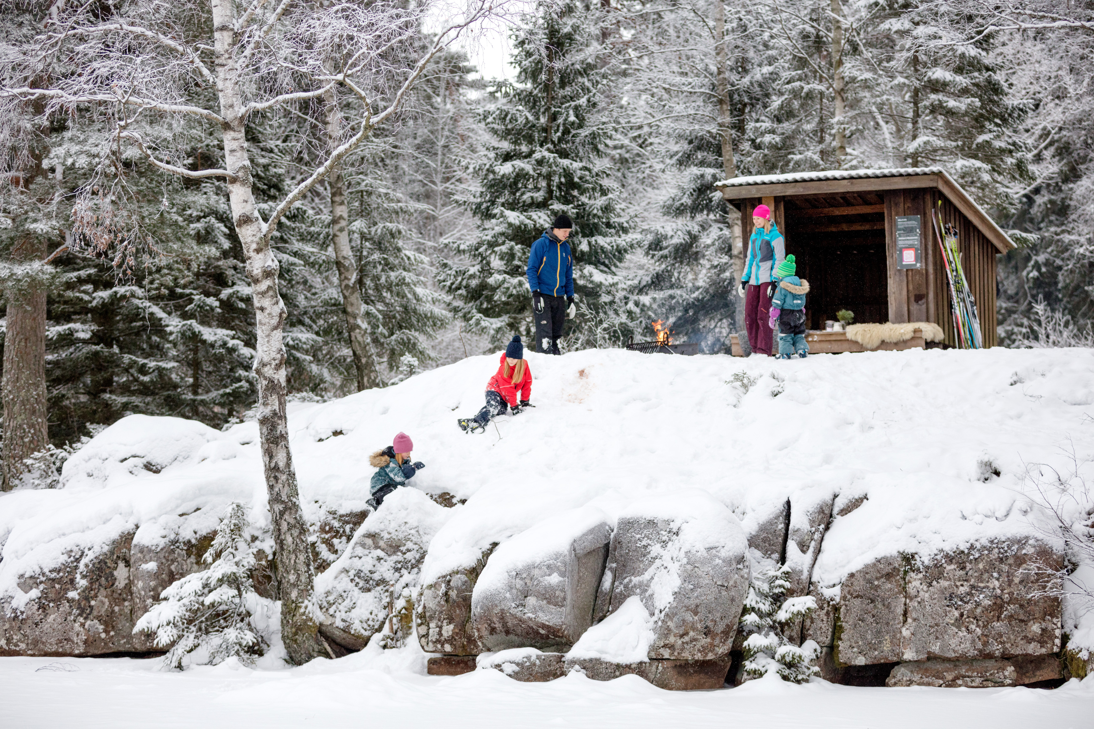 Family who are at a windbreak and playing in the snow.