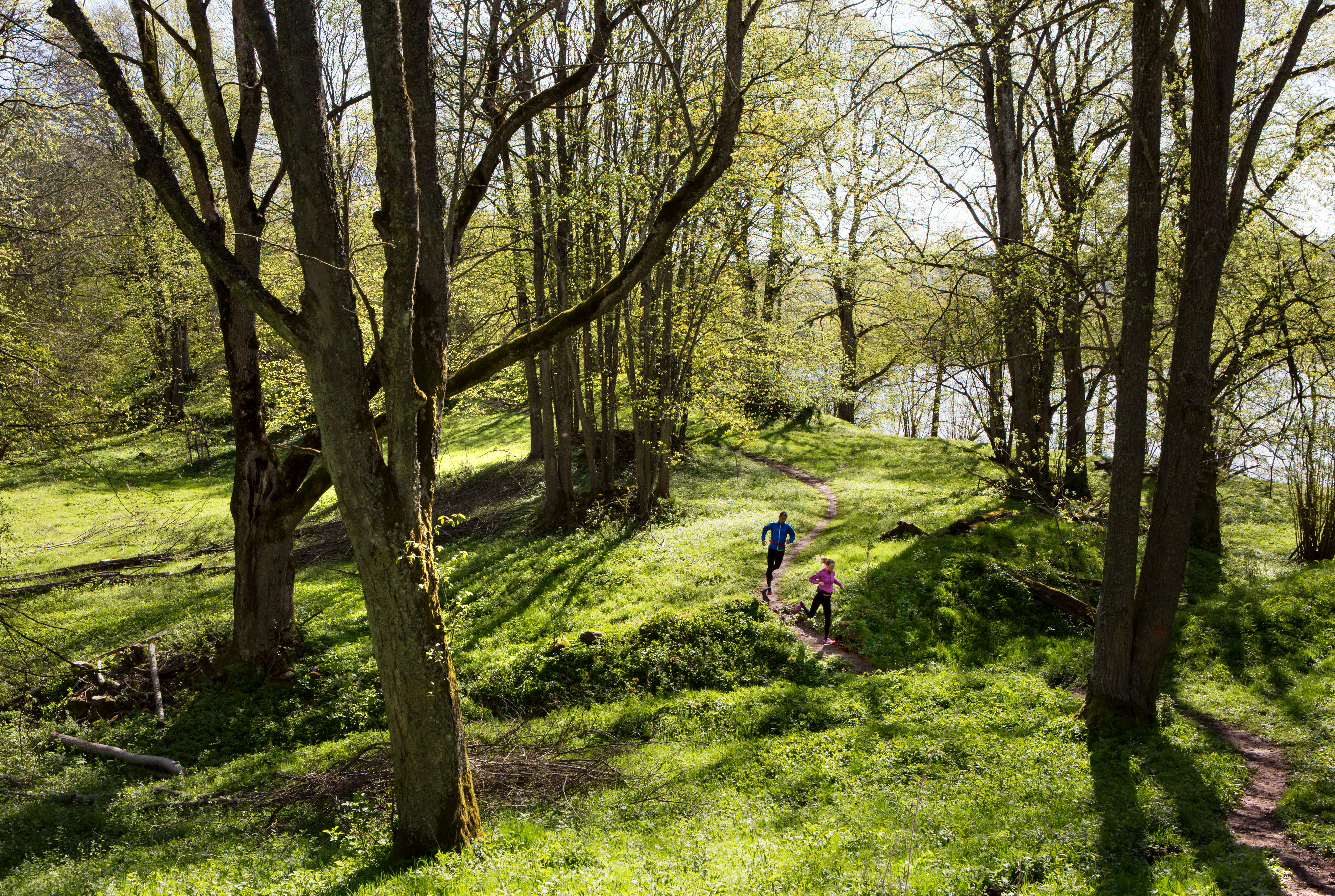 Två personer springer på en stig i skogen. Marken är kuperad och grönskande.