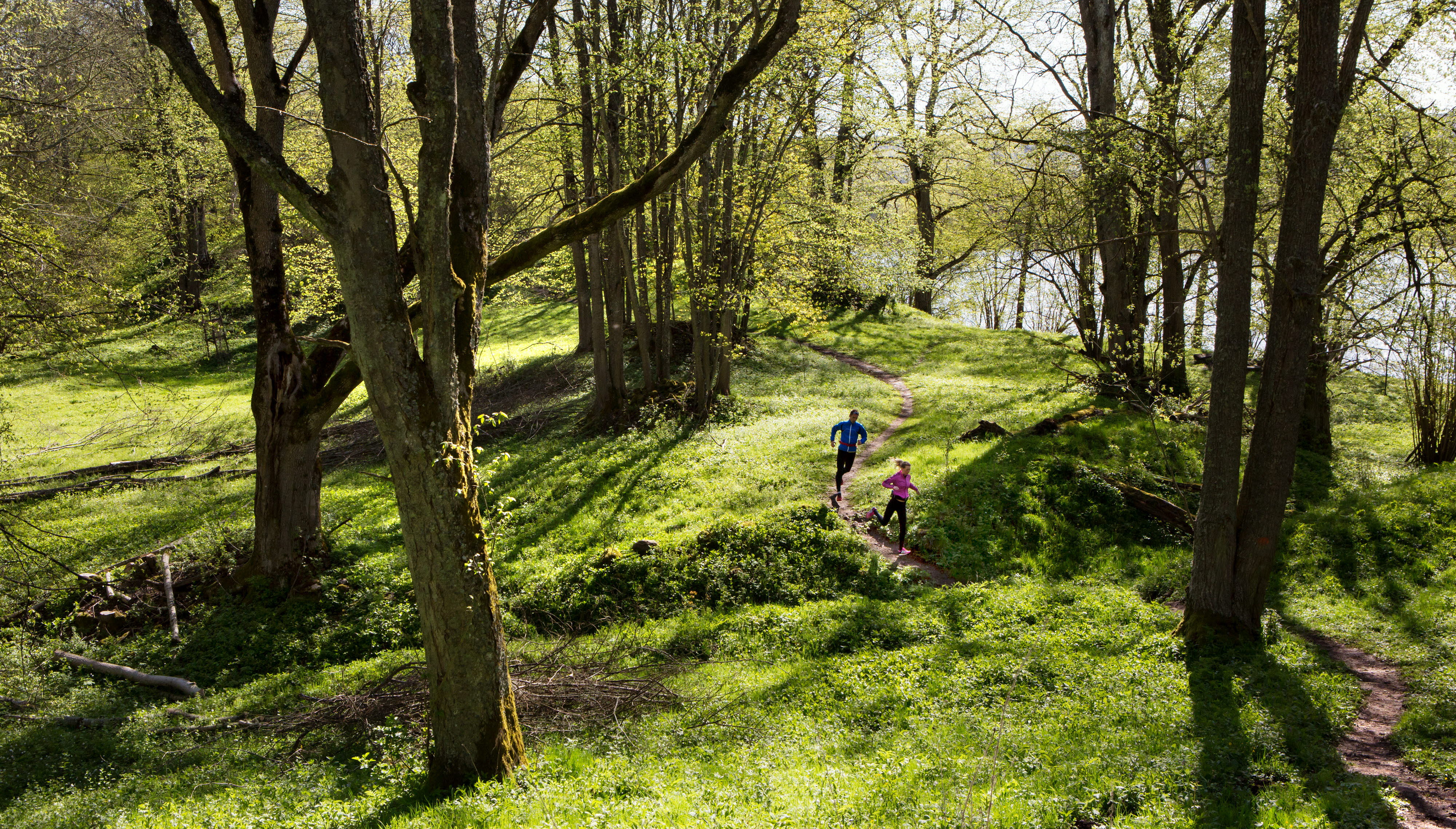 Två personer springer på en stig i skogen. Marken är kuperad och grönskande.