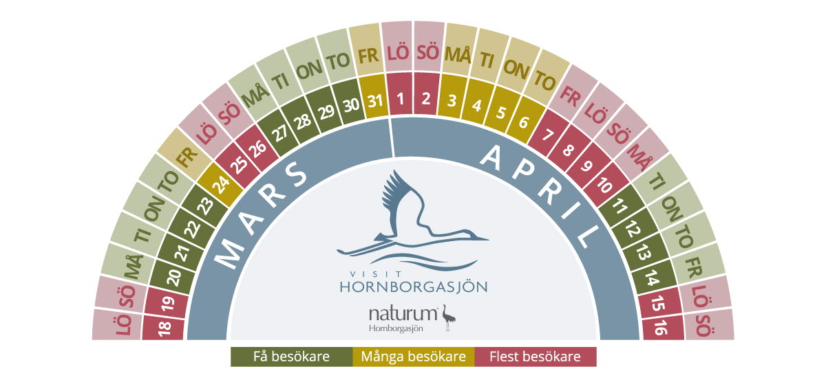 Trangraf i rött, grönt och gult där man kan se vilka dagar som det är mindre besökare på Trandansen. 