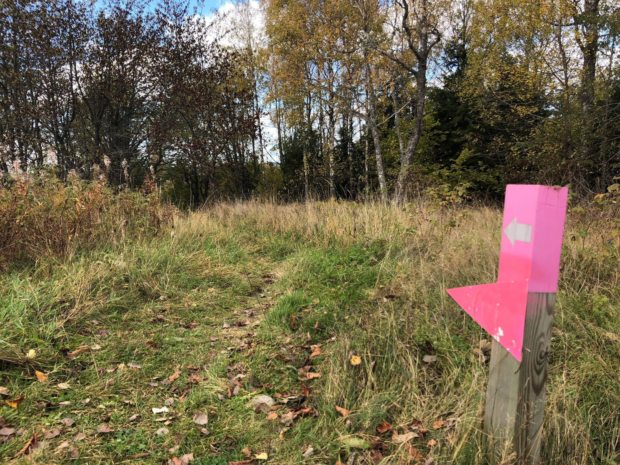 Ledmarkering Ranger Trail 