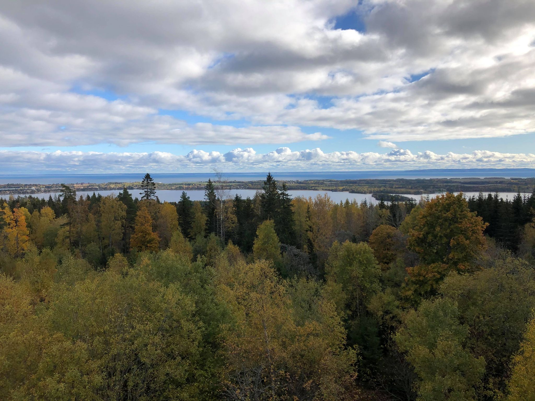 Utkiksplats Ranger Trail 