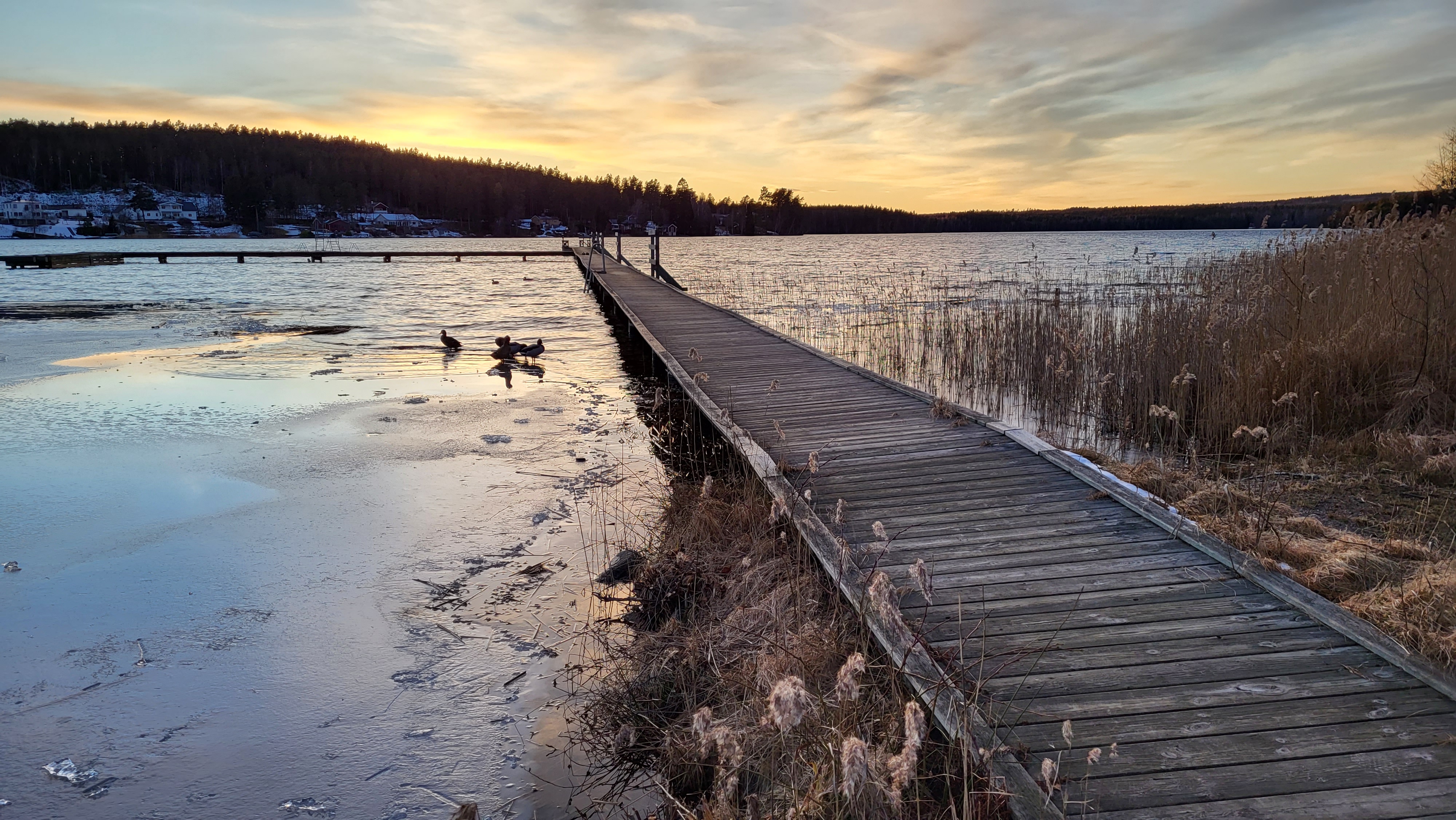 En brygga i ett vinterlandskap med vinterbadare.