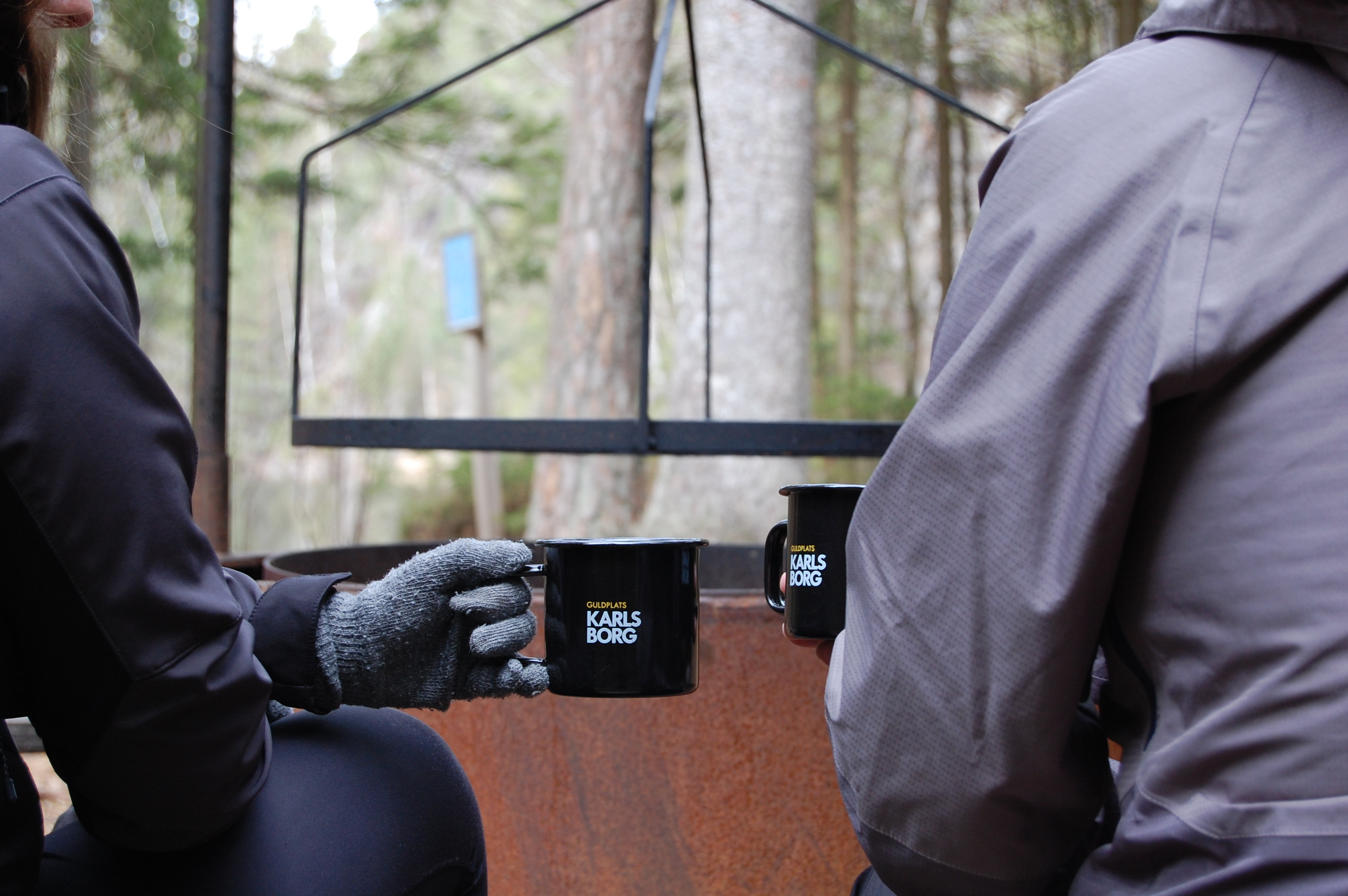 Stora Fjället naturreservat