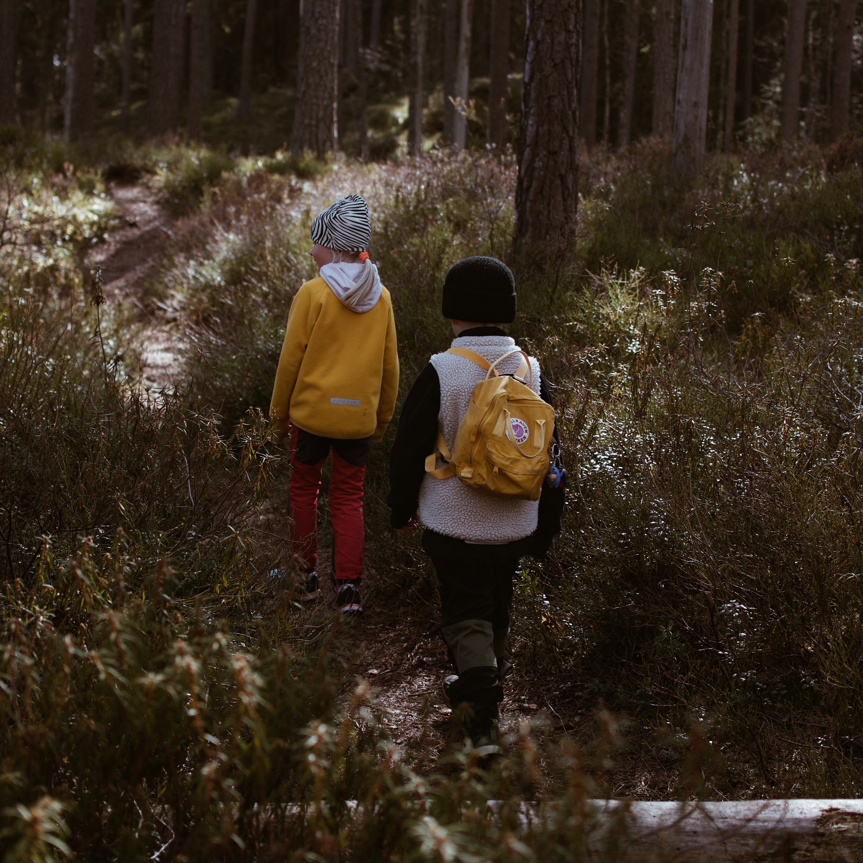 Barn vandrar i skogen i Karlsborg, Tiveden