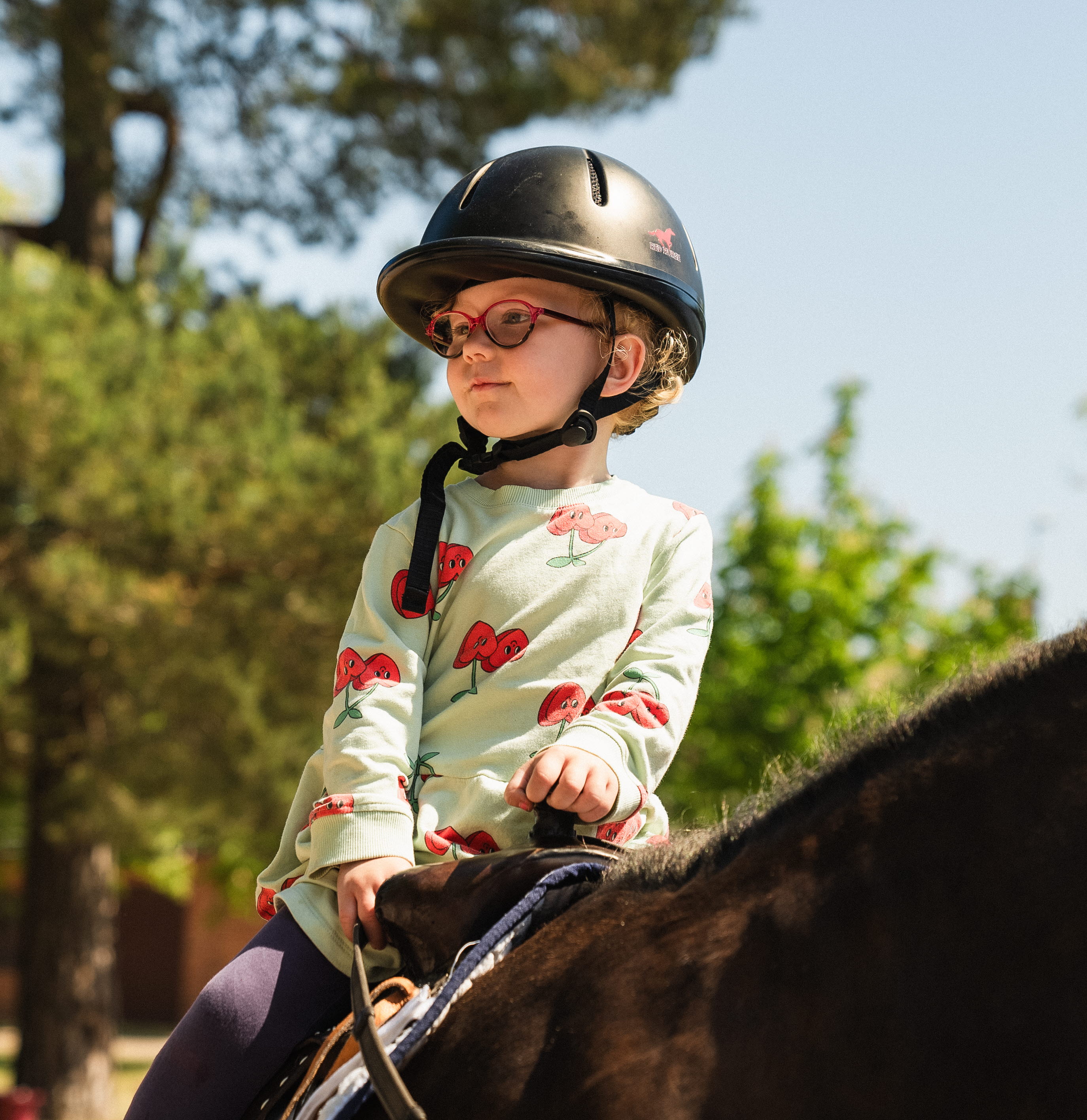Nationaldagsfirande Karlsborgs Fästning