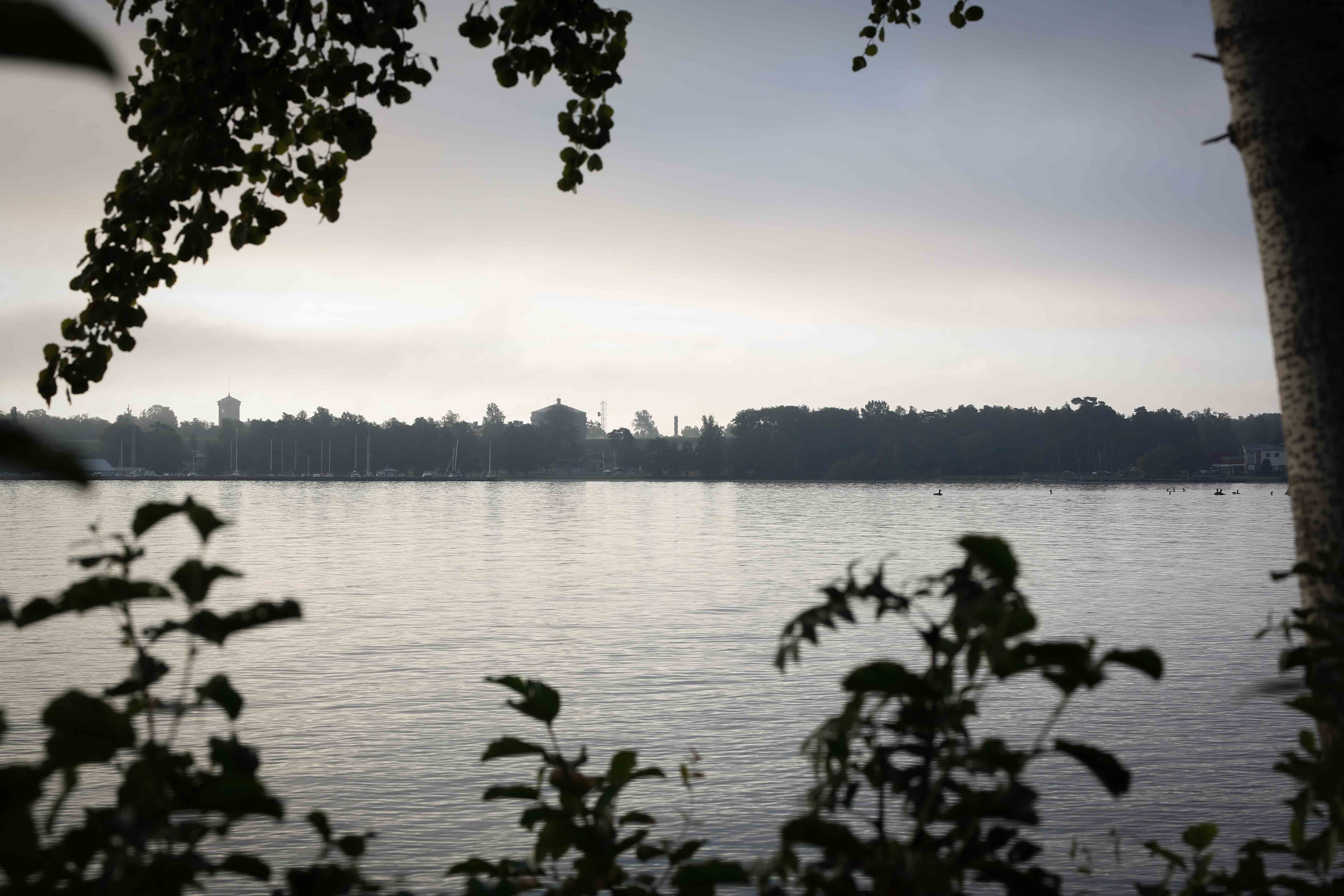 Bild över Vättern med Karlsborgs fästning skymtande i horisontlinjen. I förgrunden finns grönska som ligger i skugga.