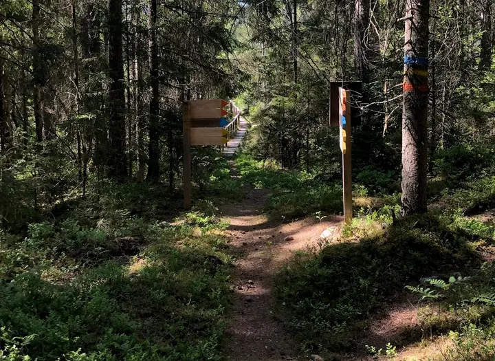 Tingsjötorprundan