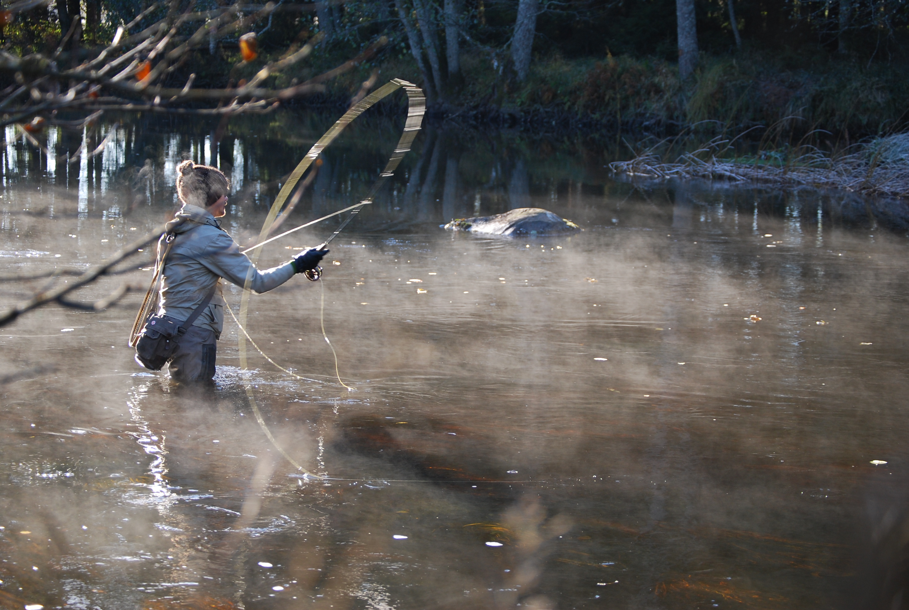 A fly fisher in a calm water.