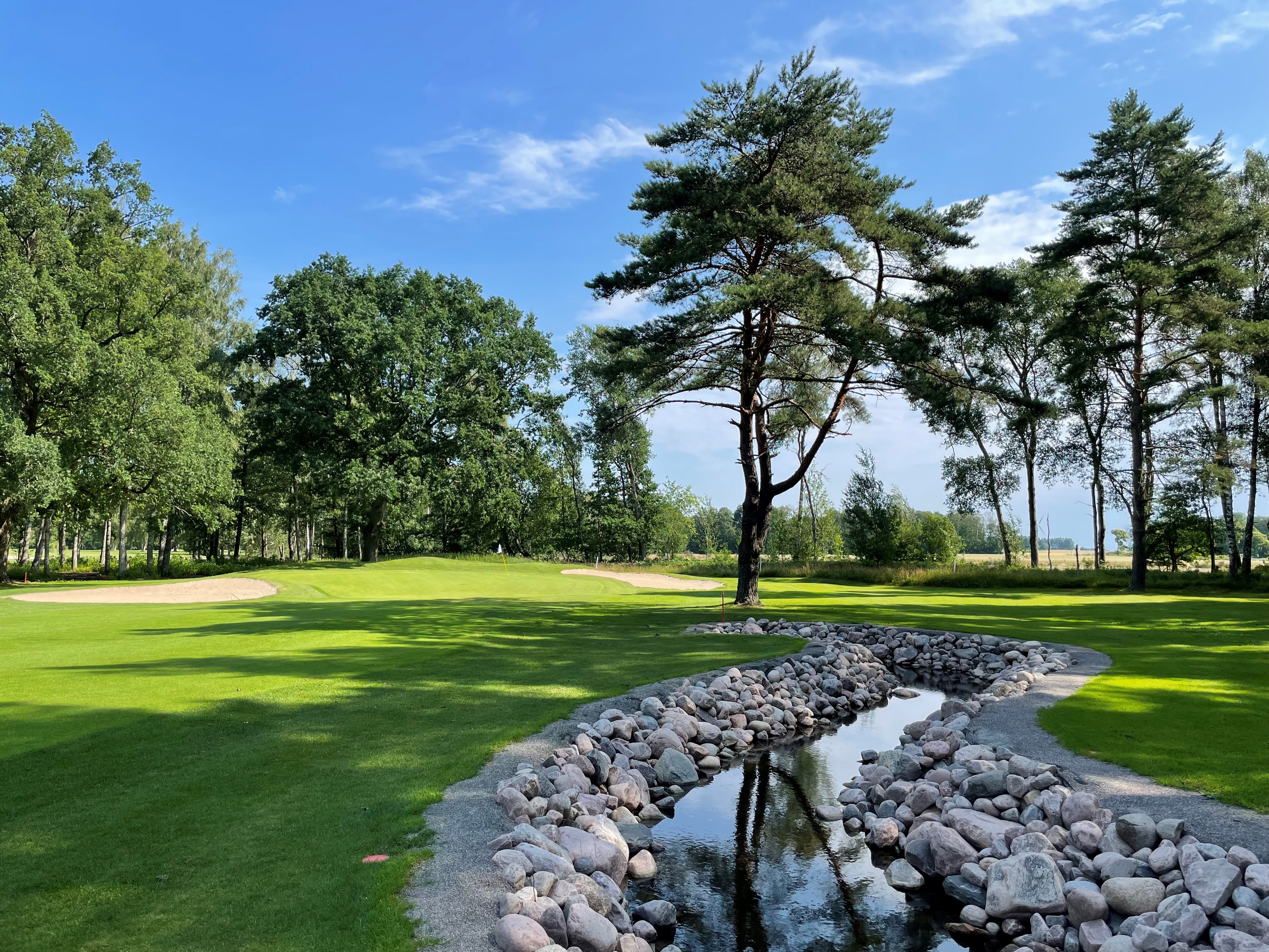 En golfbana där man ser träd i bakgrunden och vatten vid sidan. 