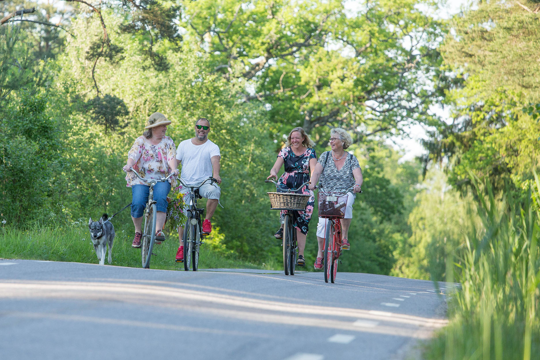 Four persons cykling on a small road in the nature