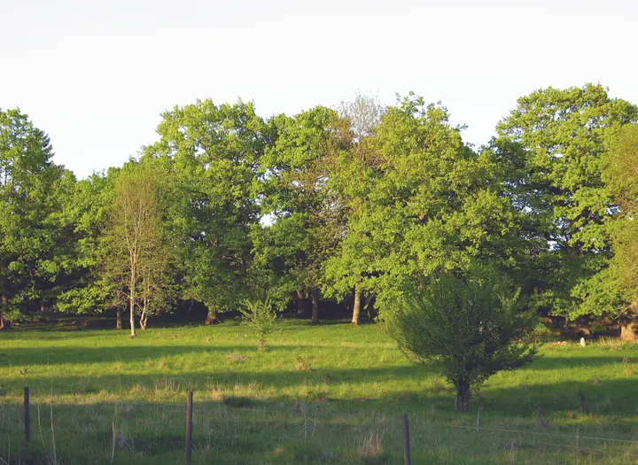 Djurgårdenrundan 2,7 km