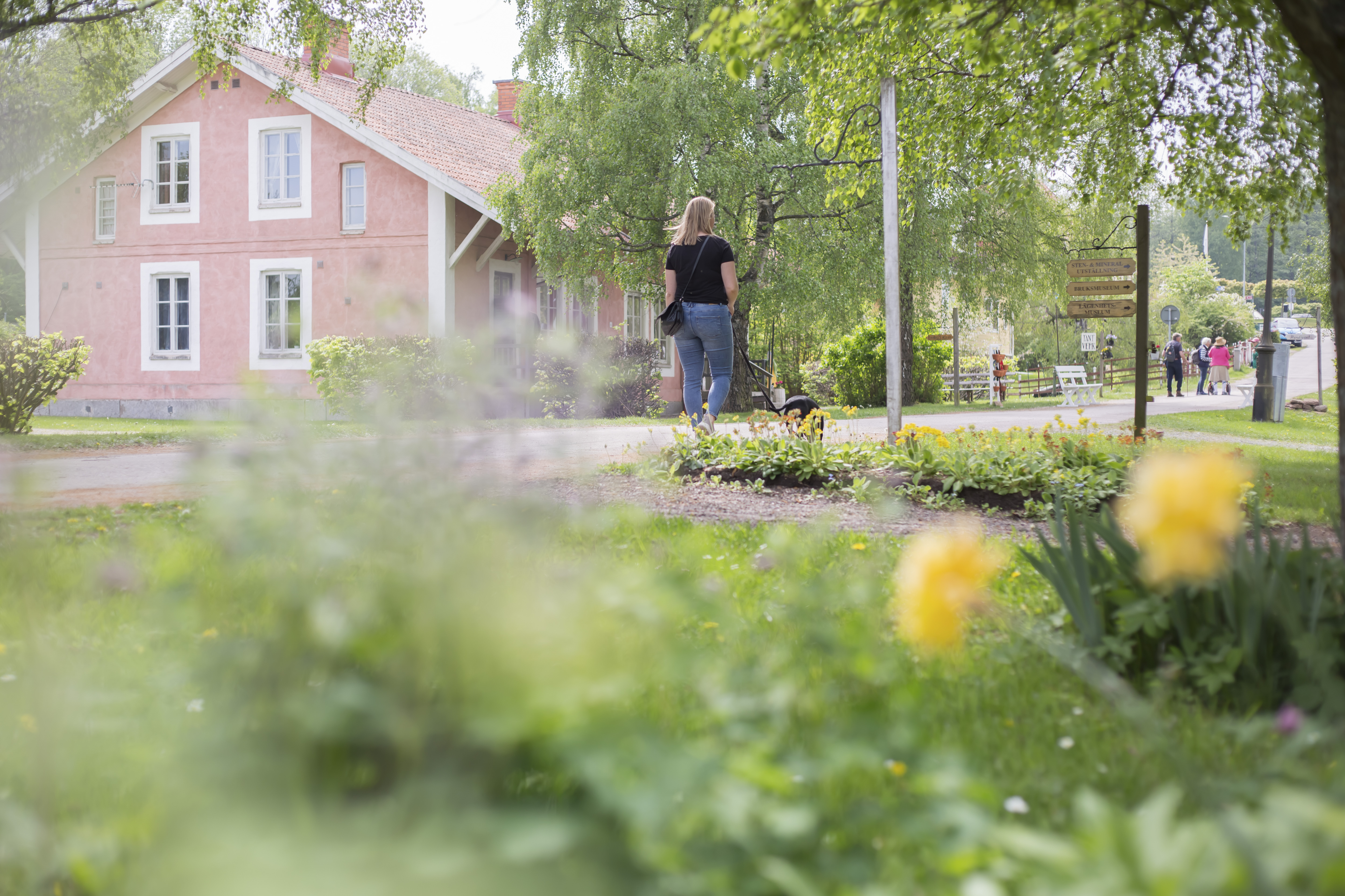 Gröna växter och blommor samt björkgrenar i förgrunden, putsat ljusrött stenhus med vita knutar i bakgrunden