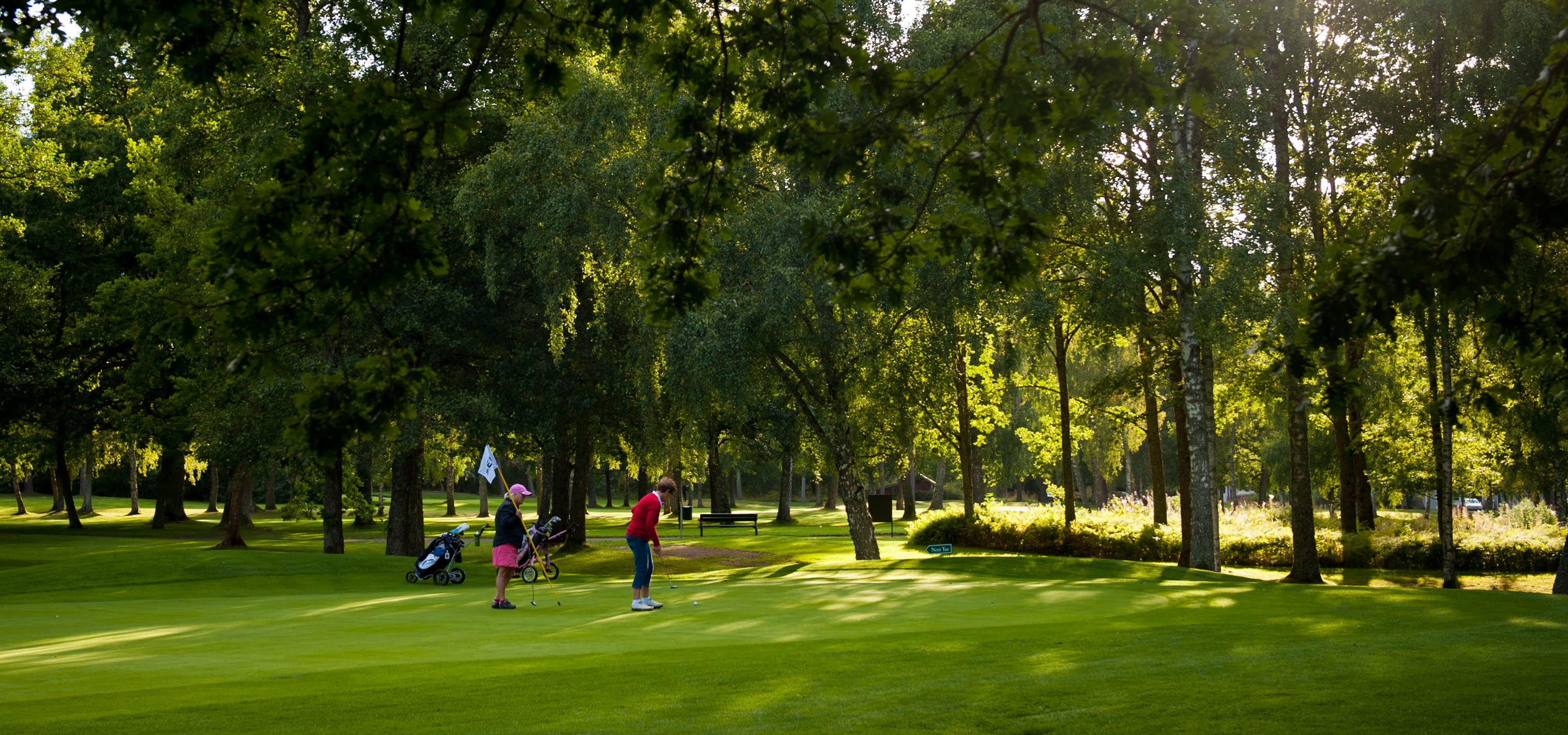 Två kvinnor står på en golfgreen en solig sommardag. 