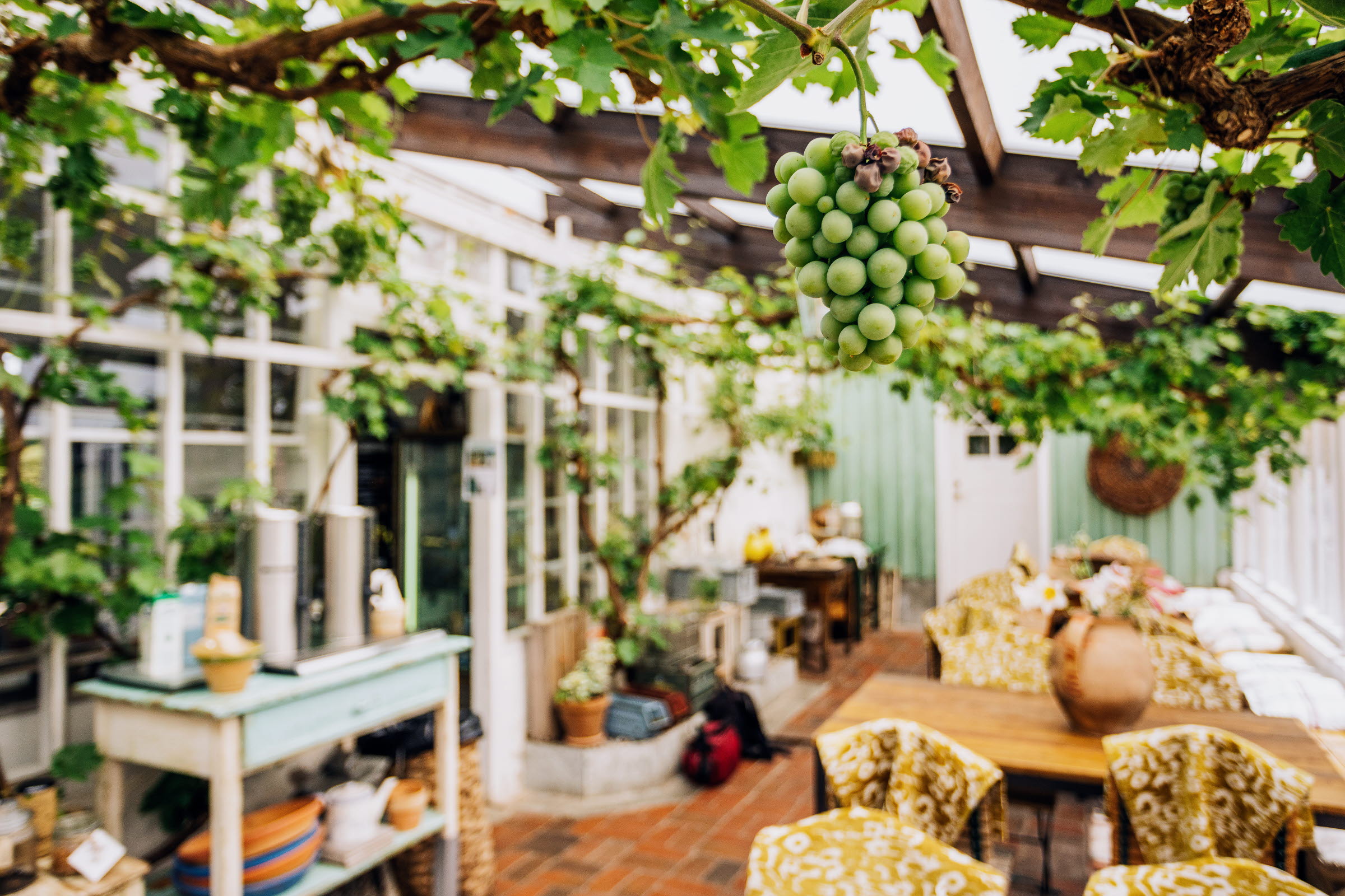 Ett café i ett orangerie