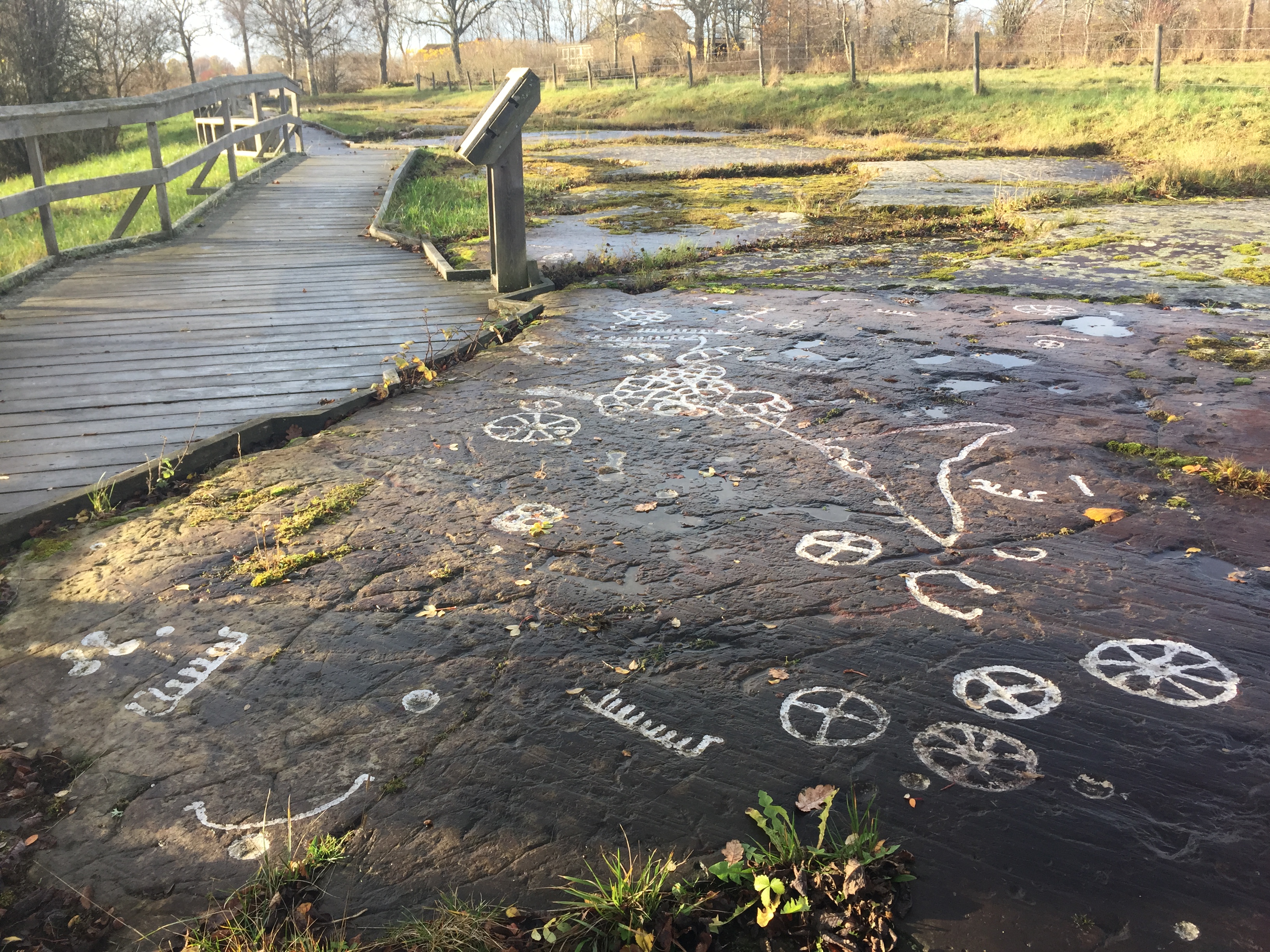 Hällristningar på ett berg med ett trädäck i bakgrunden. 