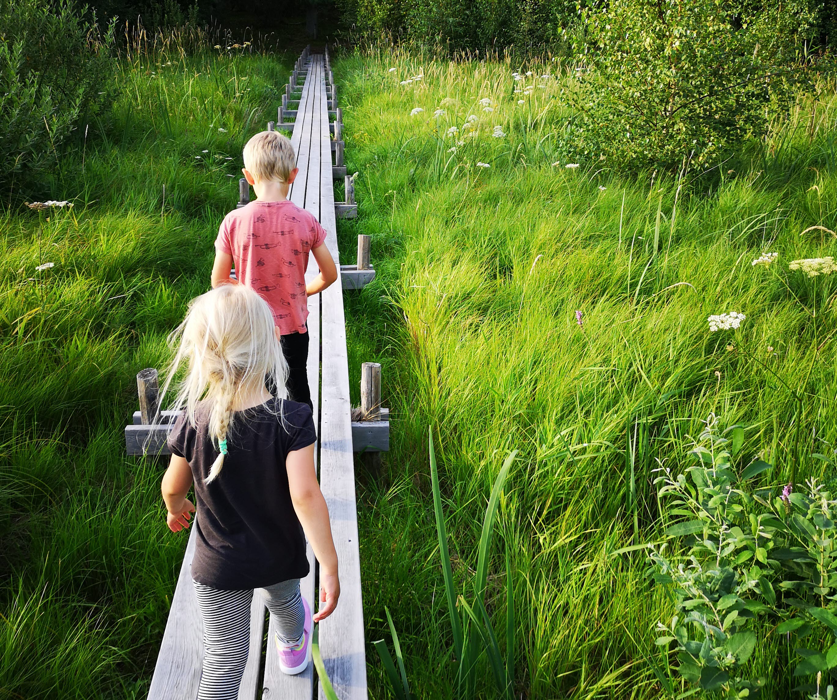 Two children walking on a footbridge, green grass and green trees all around.