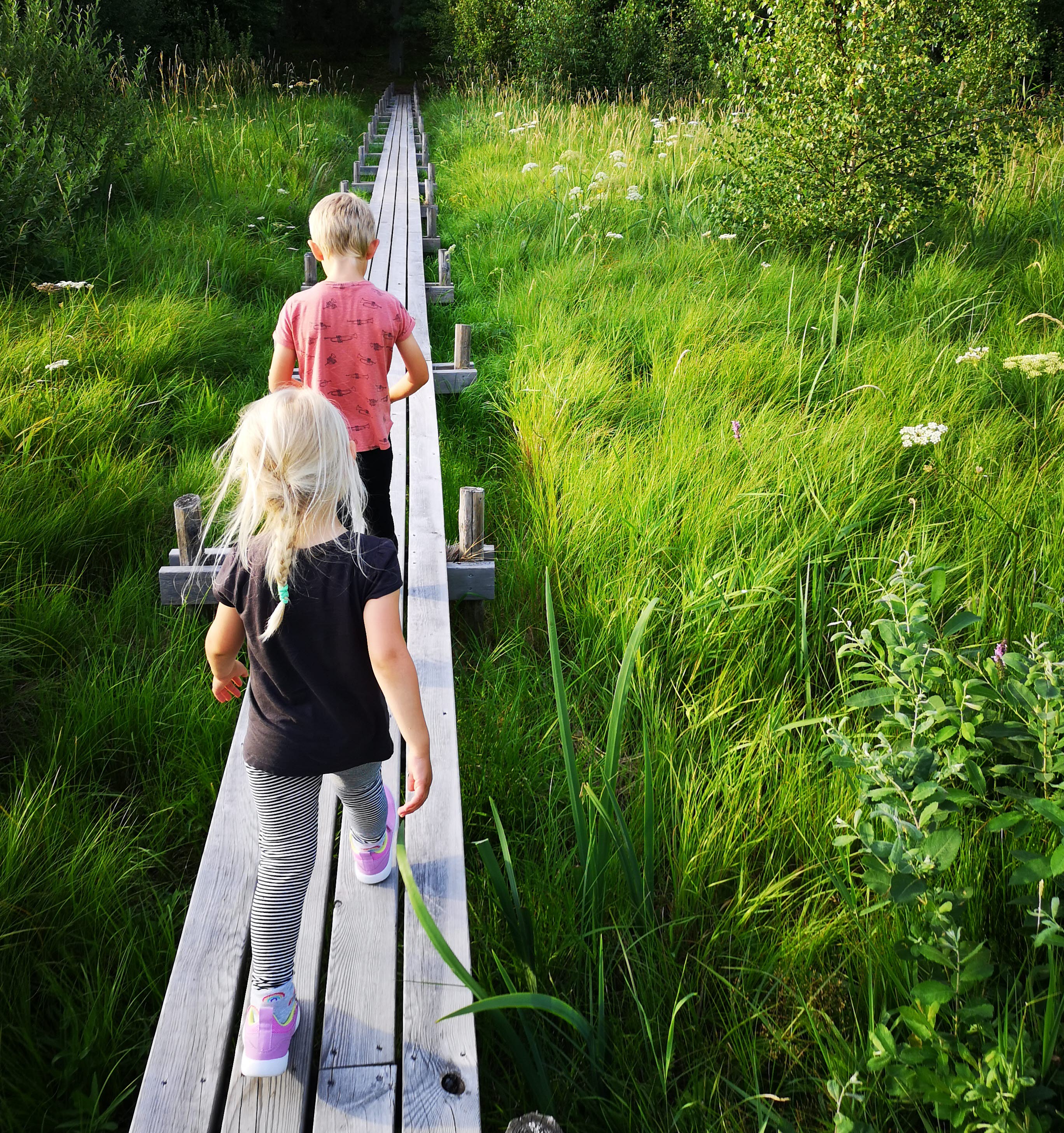 Två barn som går på en spång, grönt gräs och gröna träd runtom.