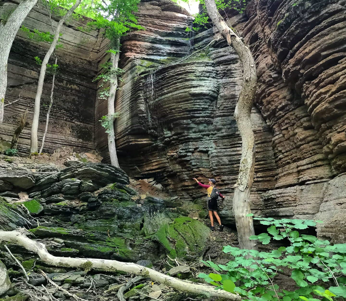 stenformationer på Kinnekulle