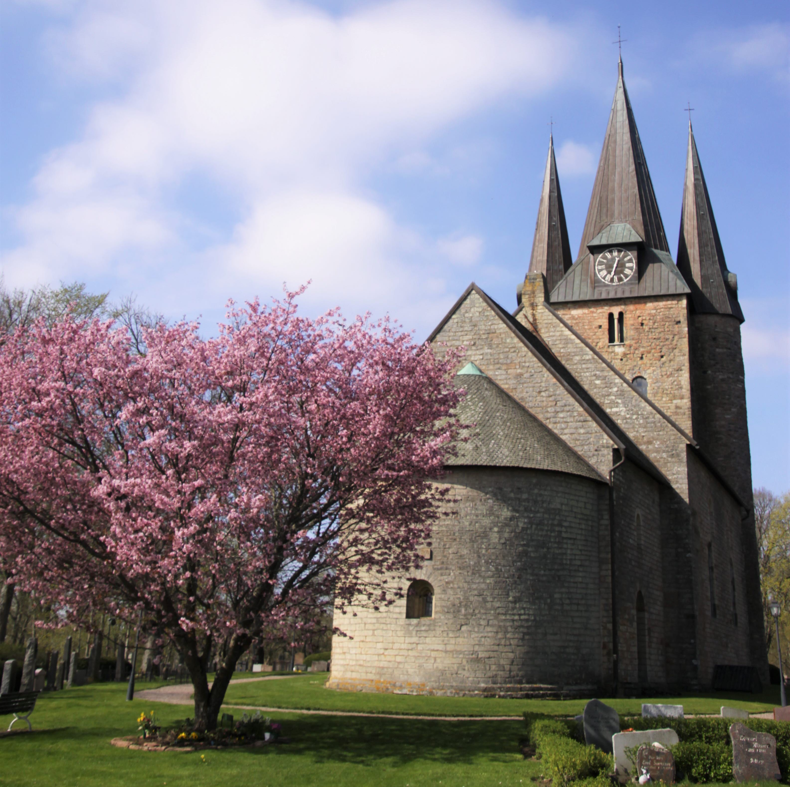 Husaby Kyrka Vårbild