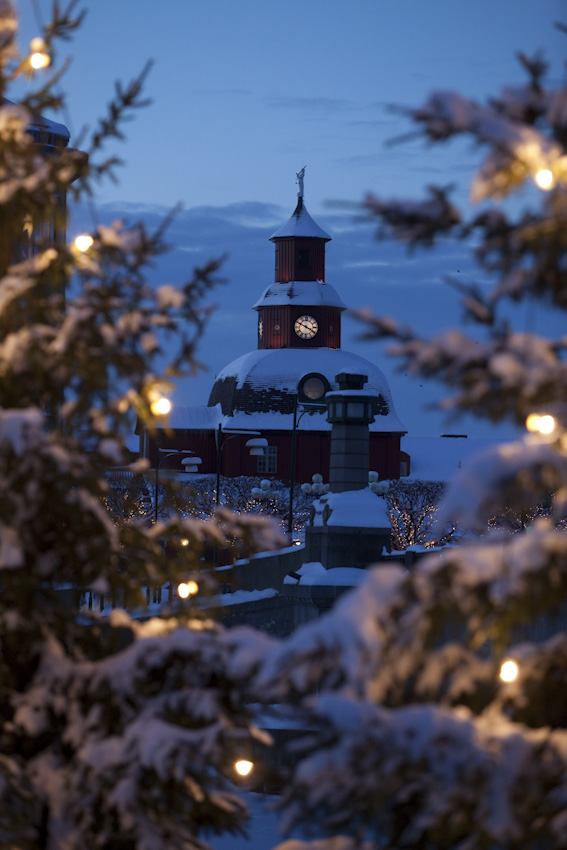 Vinter i Lidköping. Rådhuset skymtas mellan snötäckta granar.