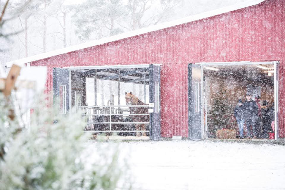 Julmarknad på Läckö Kött