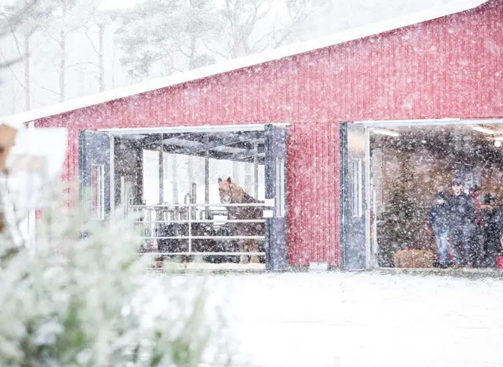 Julmarknad på Läckö Kött