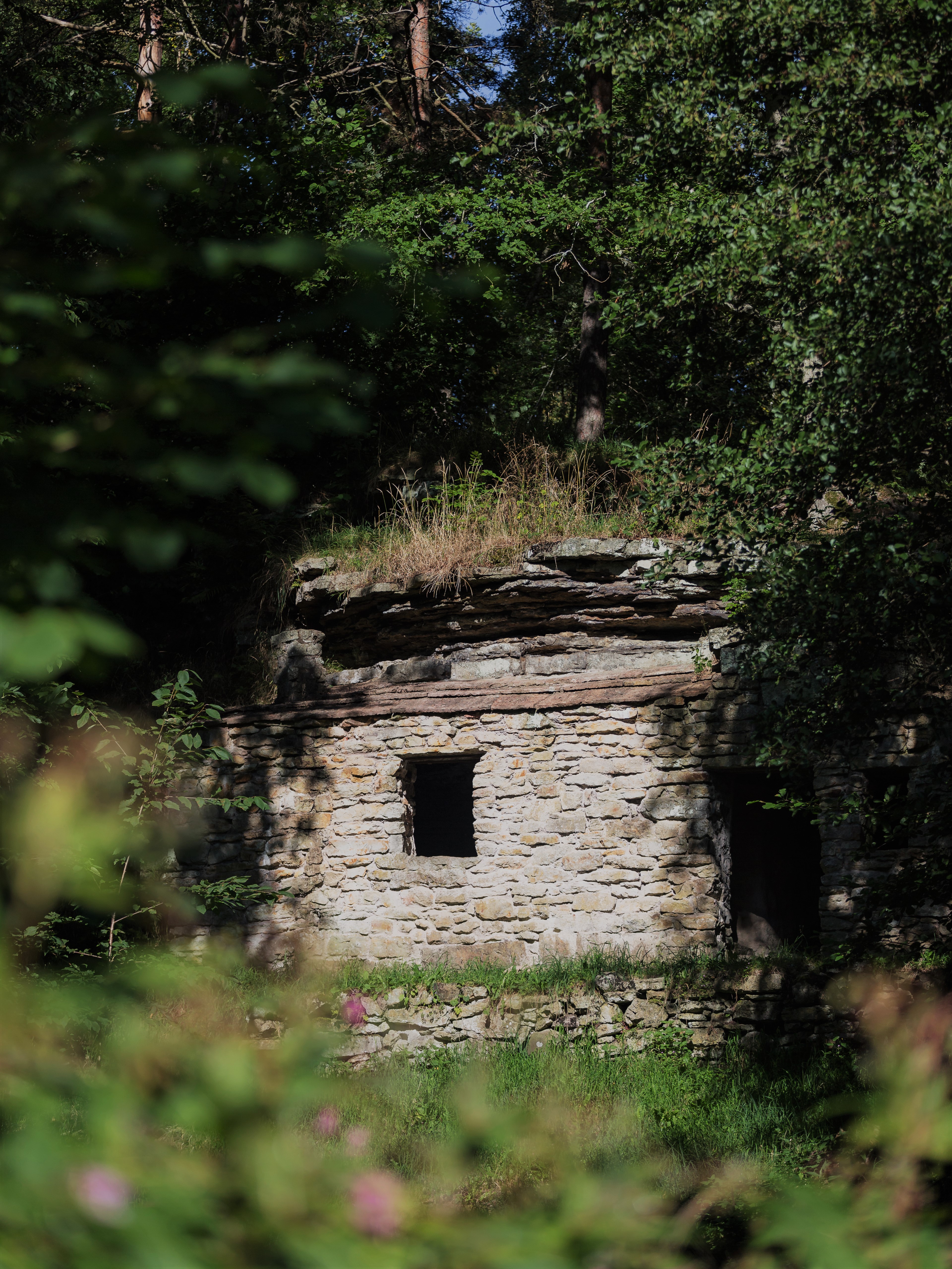 The trees are green around Lasse's gotta, a lovely summer day.