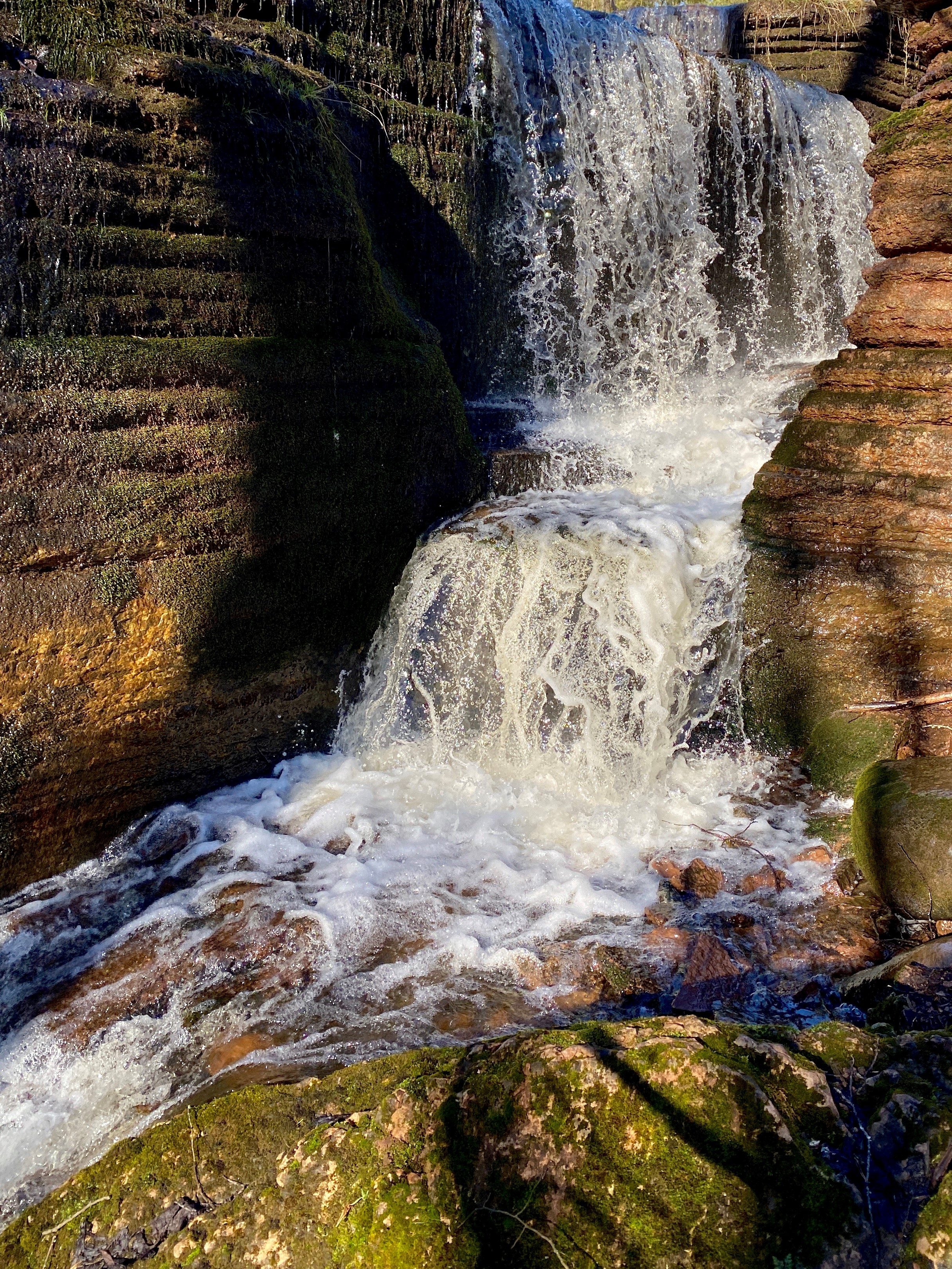 En liten vattenfall där vattnet rinner ner en vacker vårdag vid Martorpsfallet på Kinnekulle.