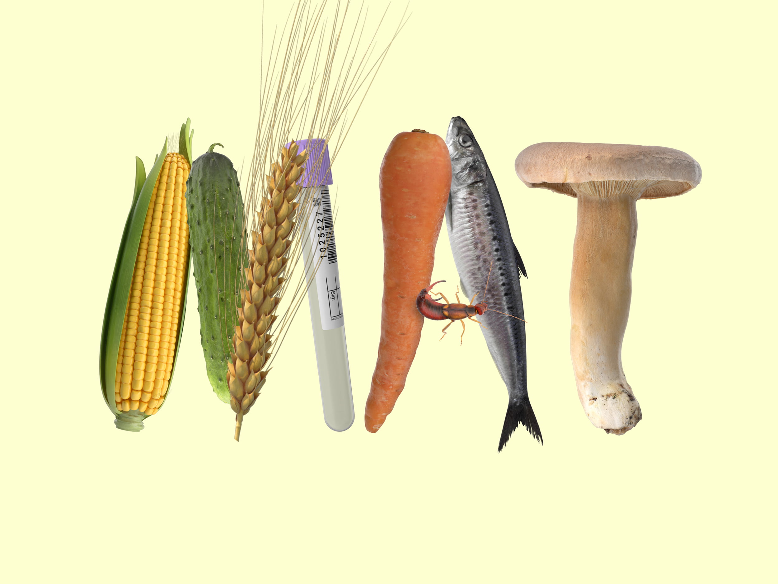 Utställning på Vänermuseet: MAT: mer än en måltid