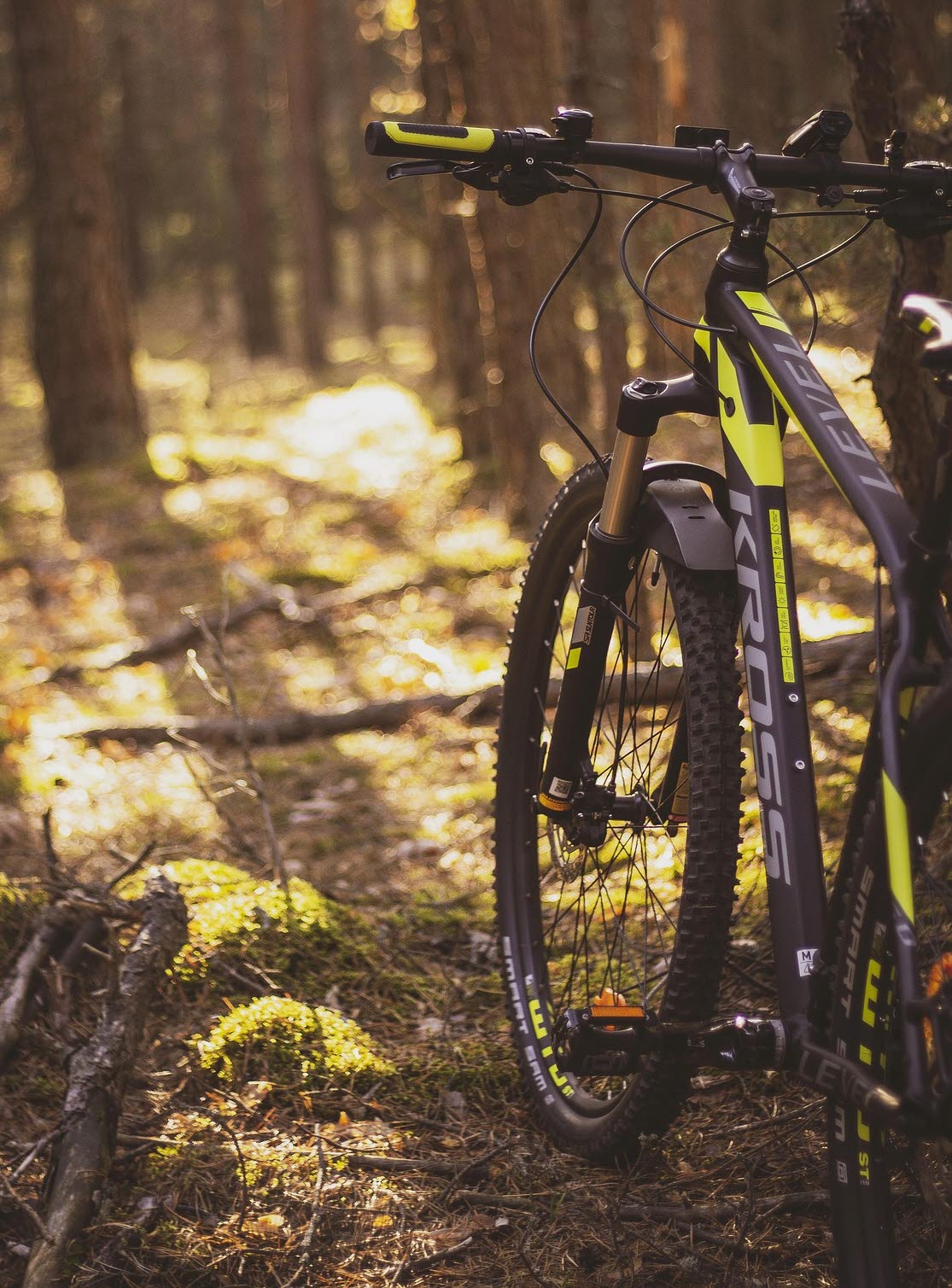 Mountainbike lutad mot ett träd i skogen.